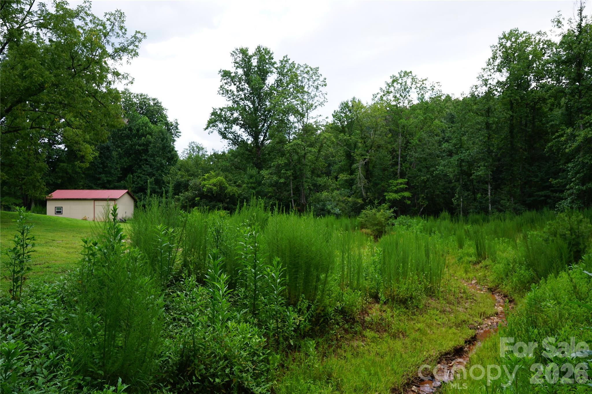 Creek that runs through property - 1239 W McGuinn Road, Mill Spring