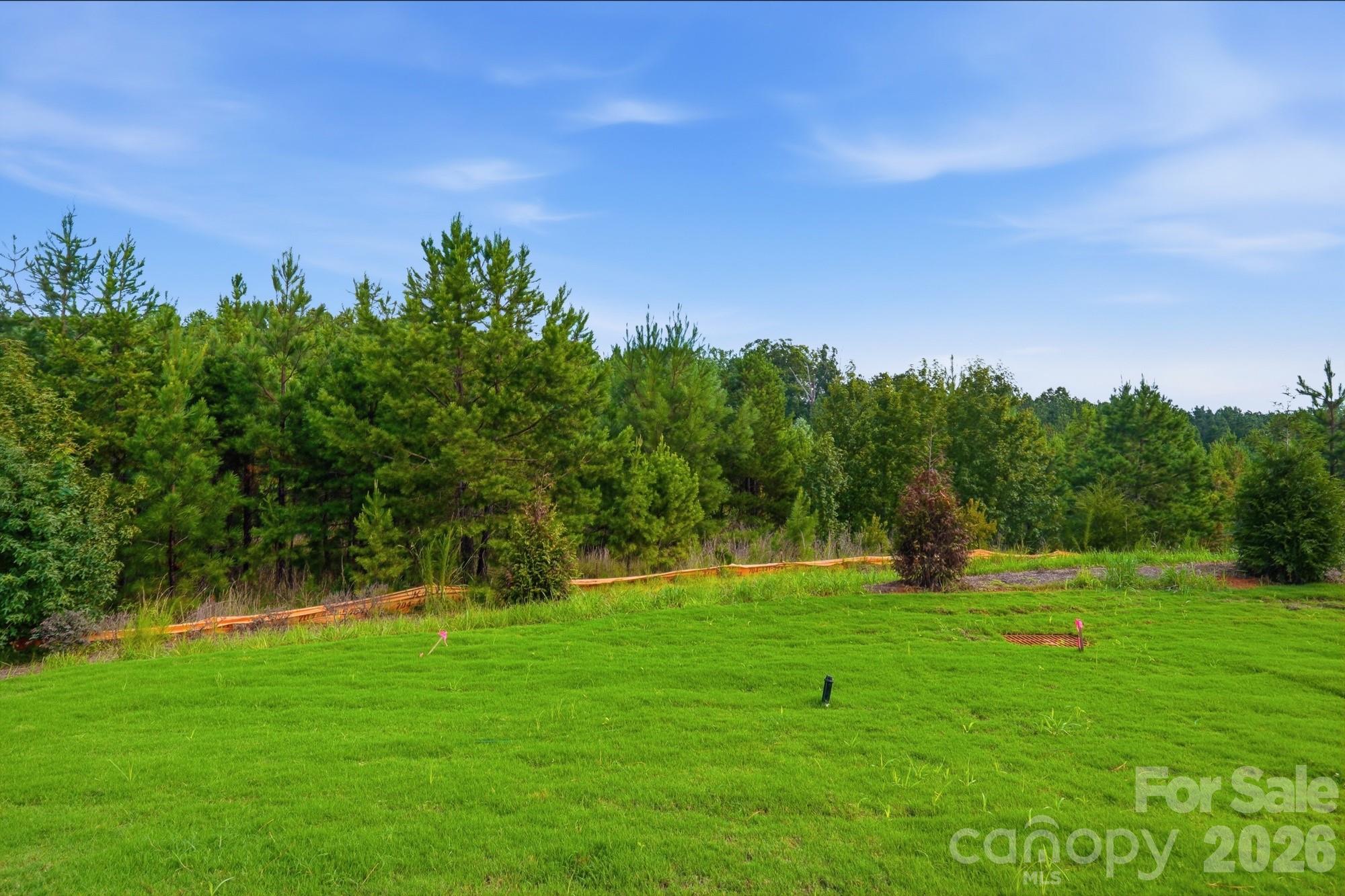 Backyard - 454 Blythe Townhome Lane, Waxhaw