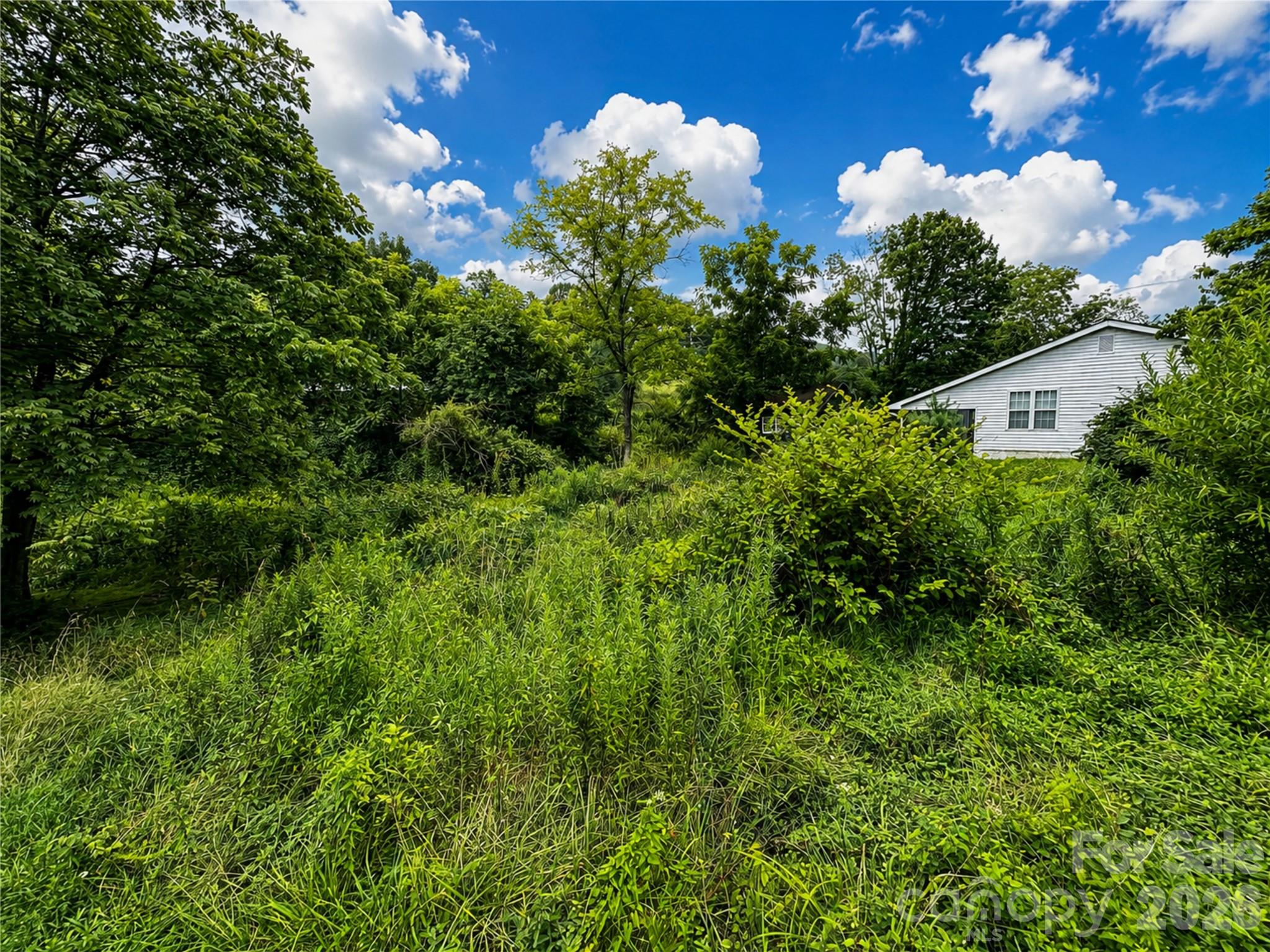 Single Family Residence at 440 Old US 19e Highway, Spruce Pine, photo 19 of 20