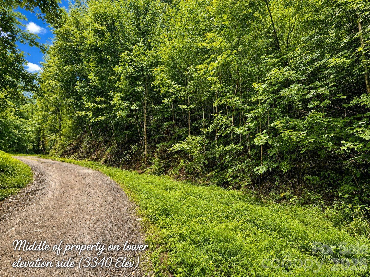Lot at 1000 Yonah Trail, Waynesville, photo 2 of 21