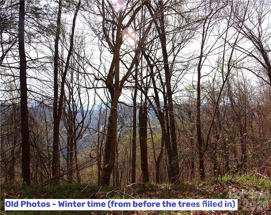Lot at 1000 Yonah Trail, Waynesville, photo 3 of 21