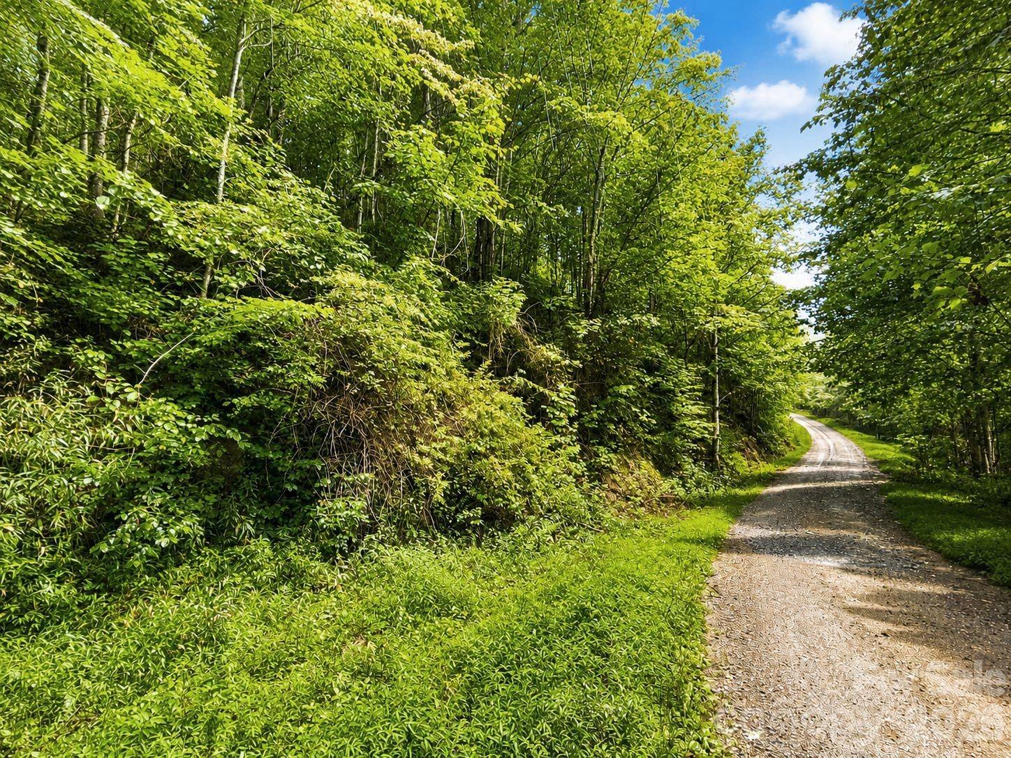 Lot at 1000 Yonah Trail, Waynesville, photo 4 of 21