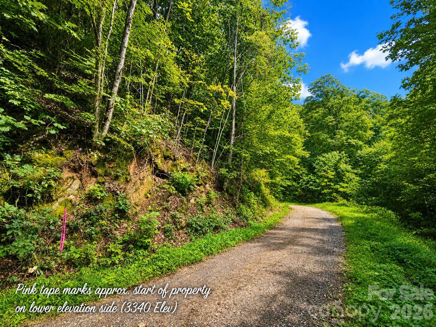 Lot at 1000 Yonah Trail, Waynesville, photo 6 of 21