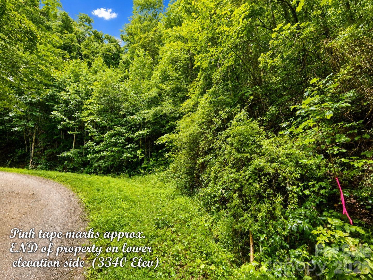Lot at 1000 Yonah Trail, Waynesville, photo 7 of 21