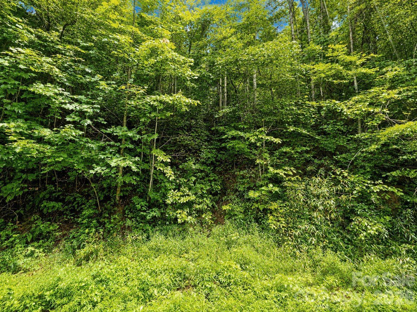Lot at 1000 Yonah Trail, Waynesville, photo 8 of 21