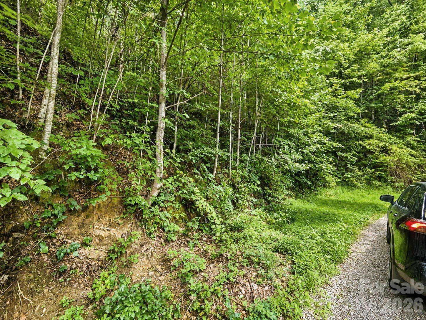 Lot at 1000 Yonah Trail, Waynesville, photo 9 of 21