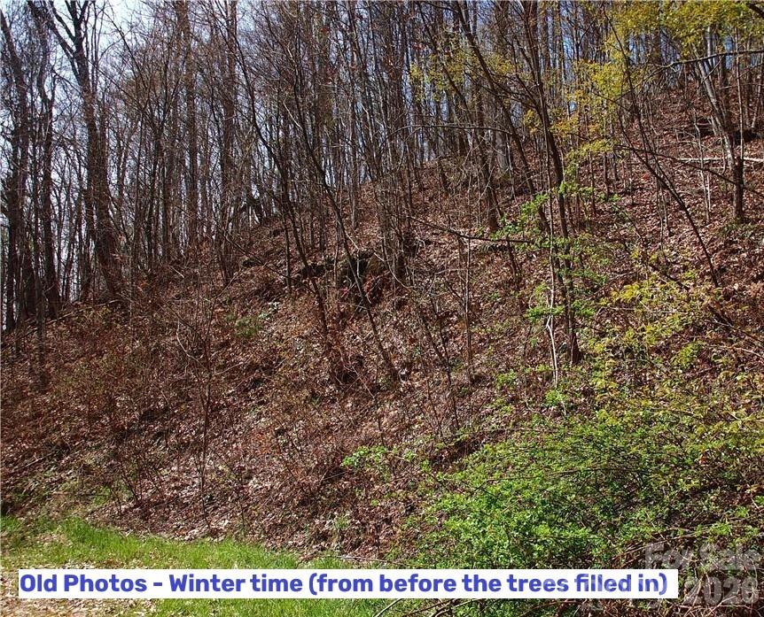 Lot at 1000 Yonah Trail, Waynesville, photo 11 of 21