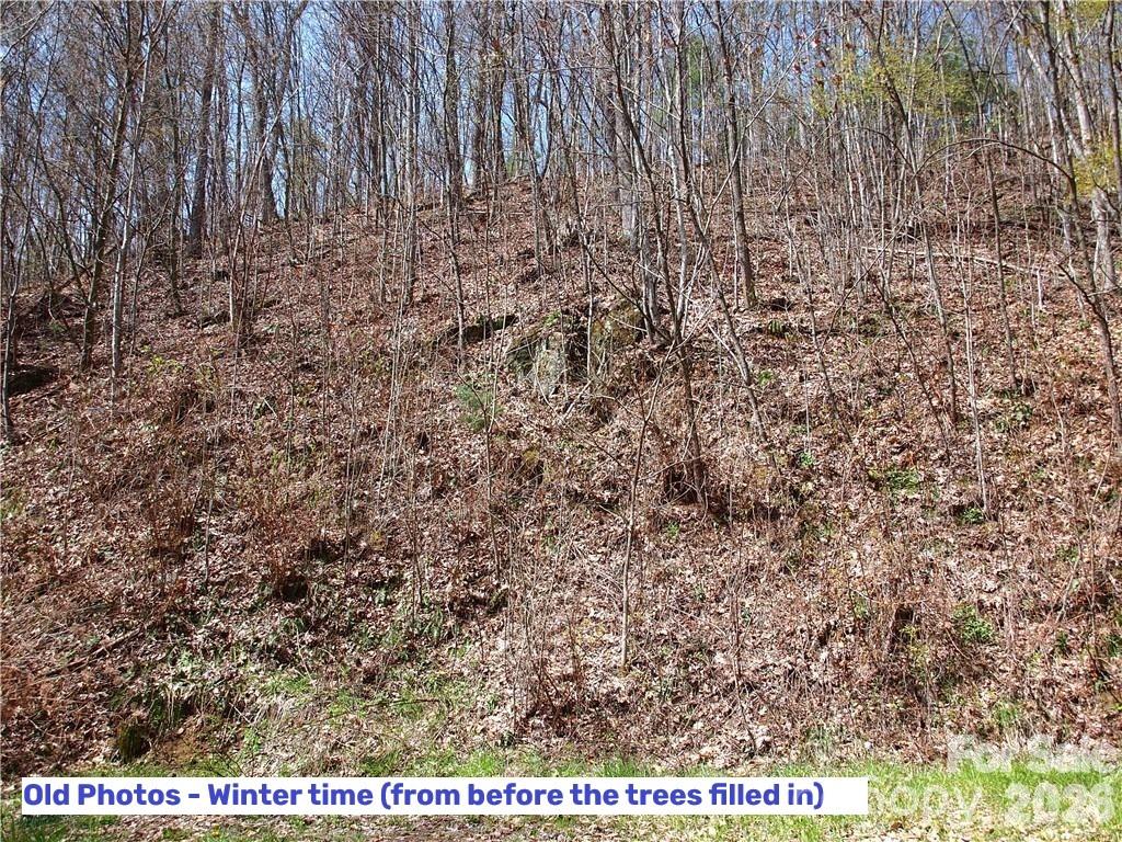 Lot at 1000 Yonah Trail, Waynesville, photo 12 of 21