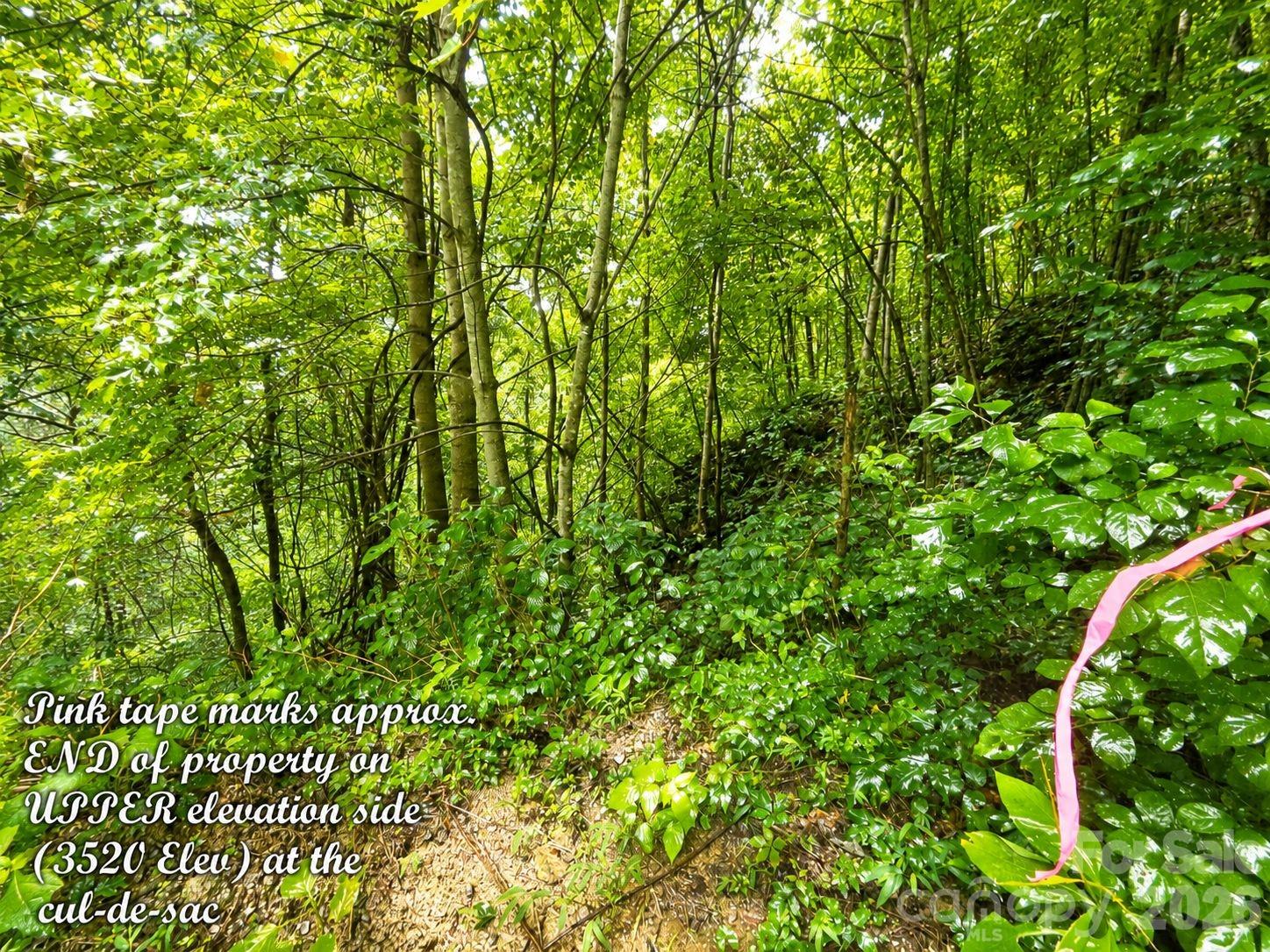 Lot at 1000 Yonah Trail, Waynesville, photo 15 of 21