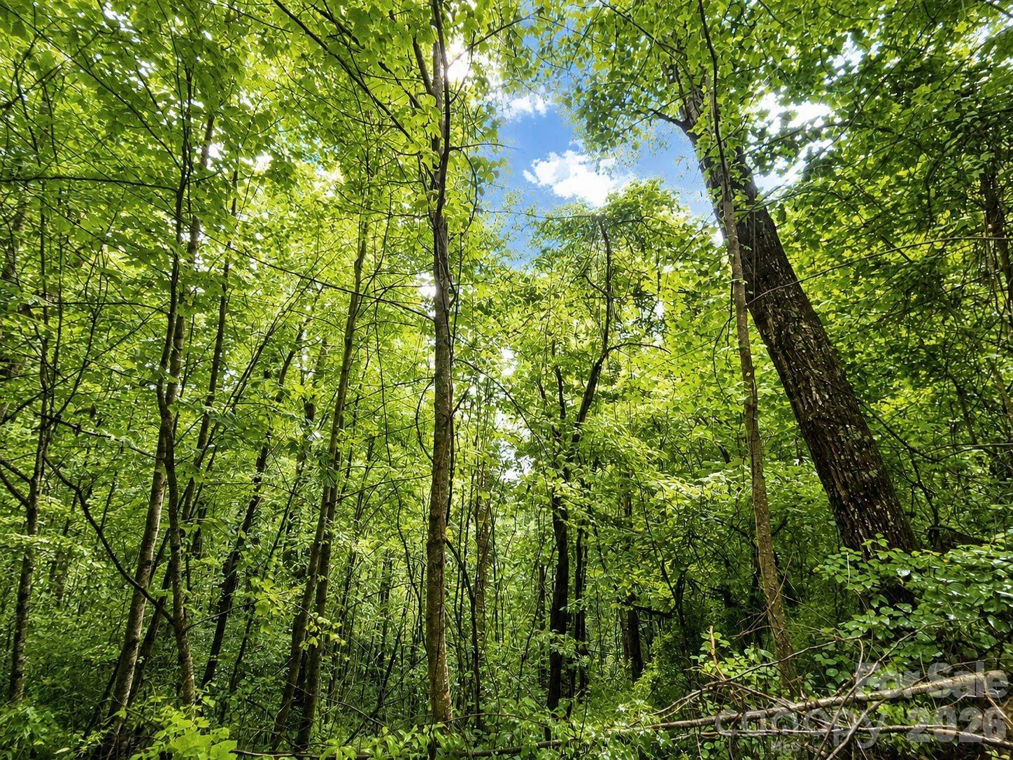 Lot at 1000 Yonah Trail, Waynesville, photo 16 of 21