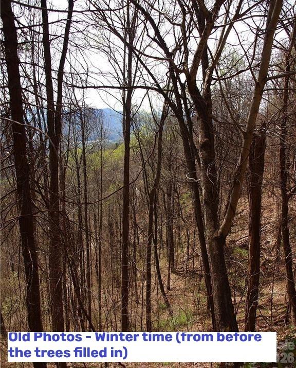 Lot at 1000 Yonah Trail, Waynesville, photo 17 of 21