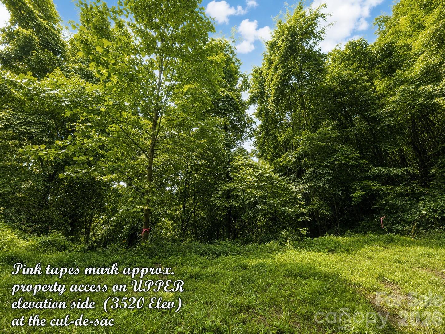 Lot at 1000 Yonah Trail, Waynesville, photo 18 of 21