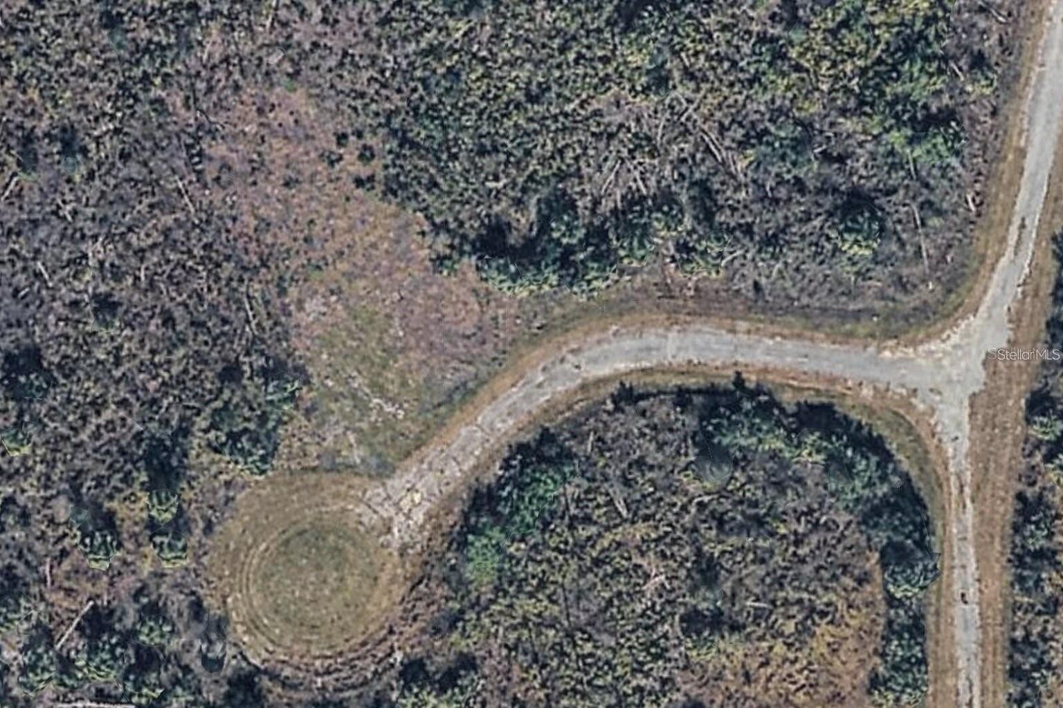 Lot 19 TREE CT