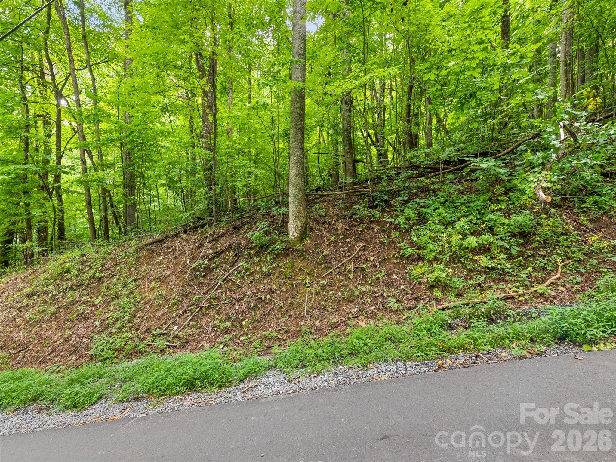 Lot at 00 Dogwood Trail, Waynesville