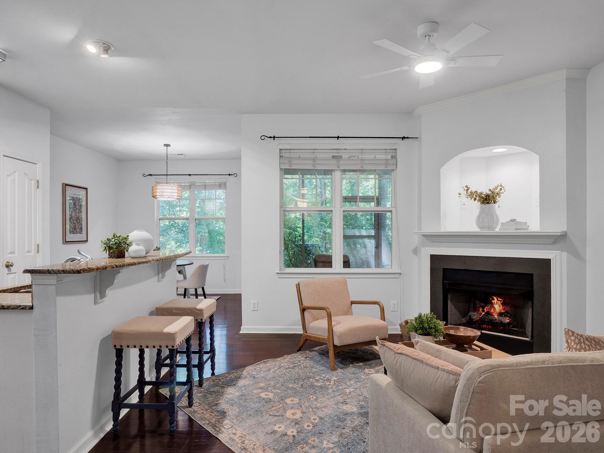 Living room with Fireplace - 10747 Essex Hall Drive, Charlotte