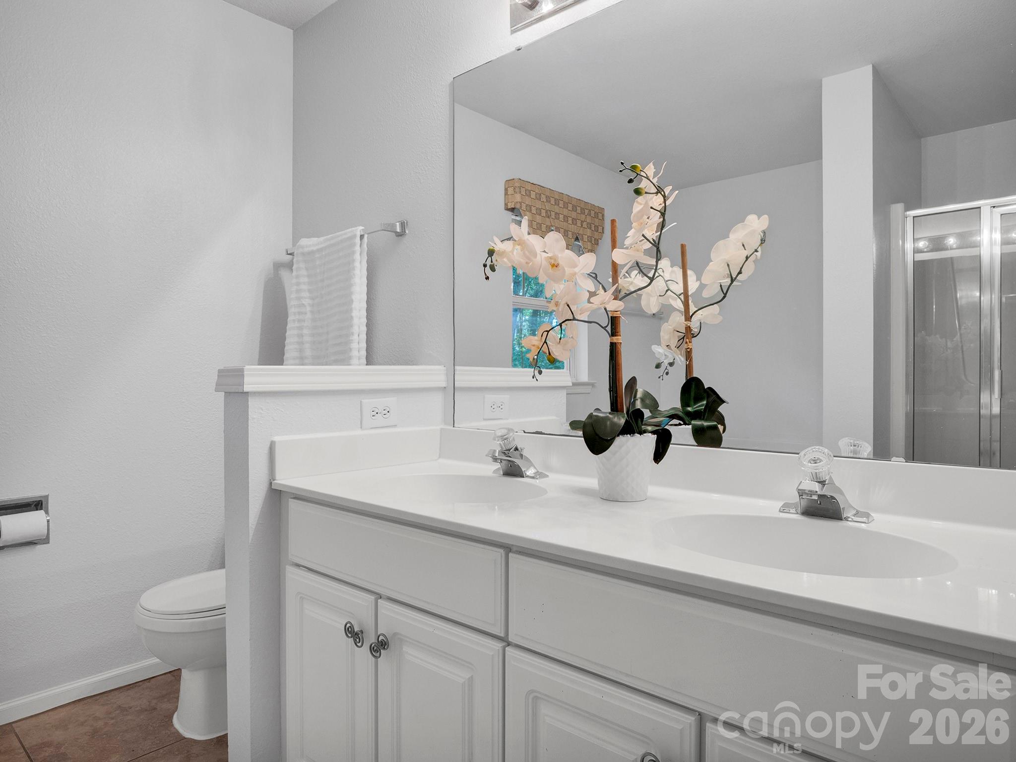 Dual vanity in primary bathroom - 10747 Essex Hall Drive, Charlotte