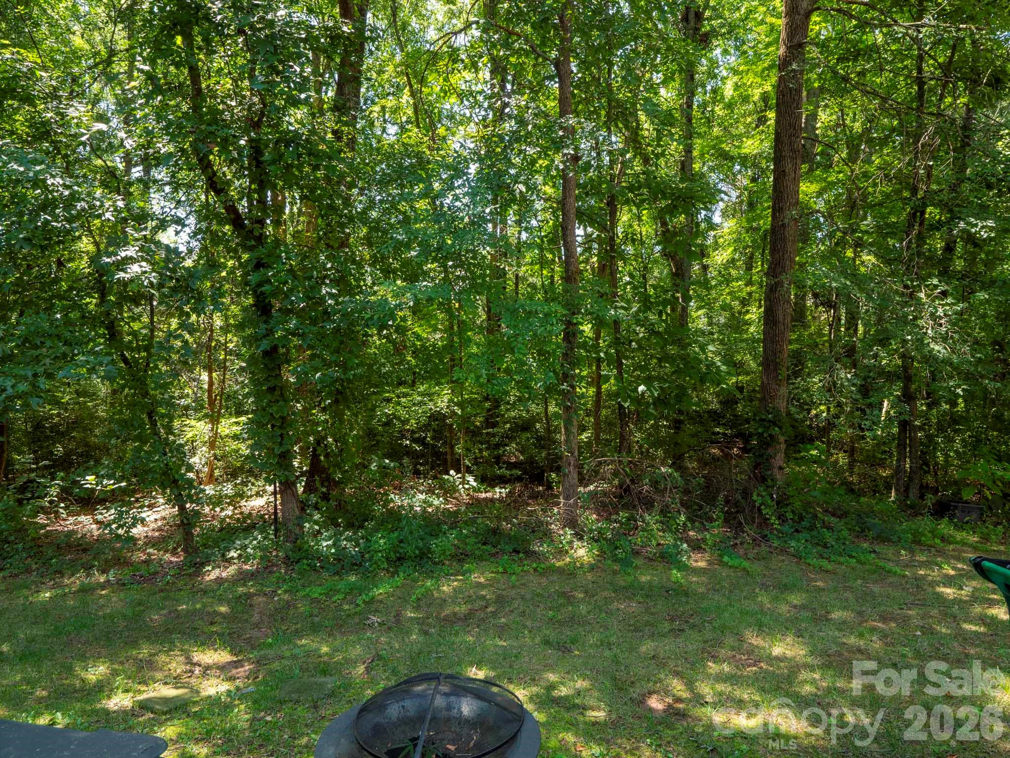 Mature trees - 10747 Essex Hall Drive, Charlotte