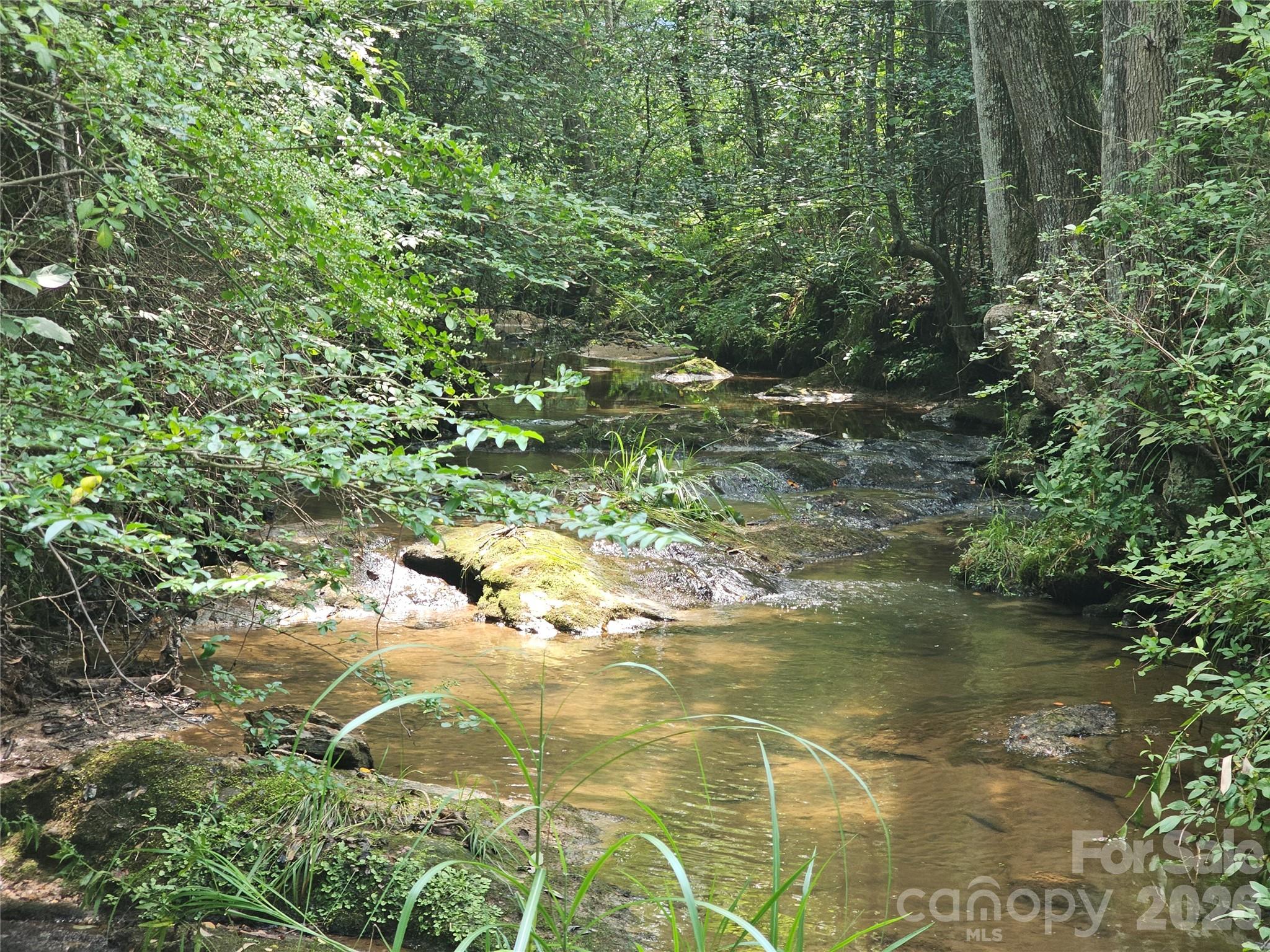 Acreage at 0 US 70 Highway, Connelly Springs, photo 3 of 10