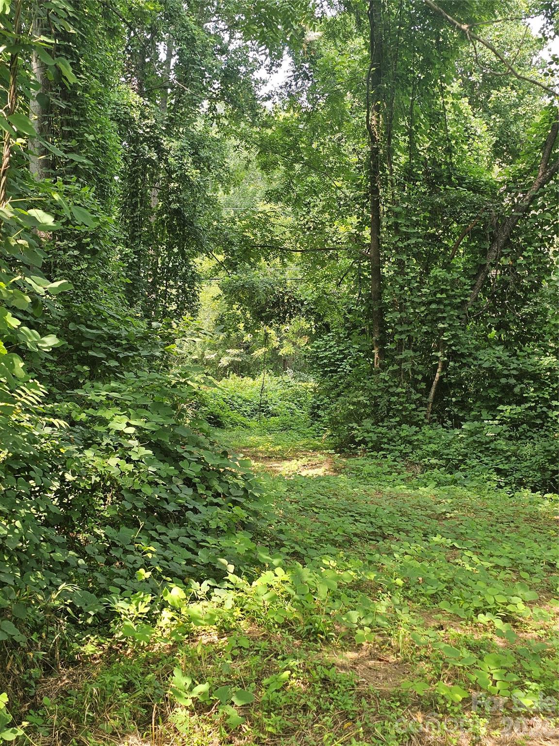 Acreage at 0 US 70 Highway, Connelly Springs, photo 4 of 10