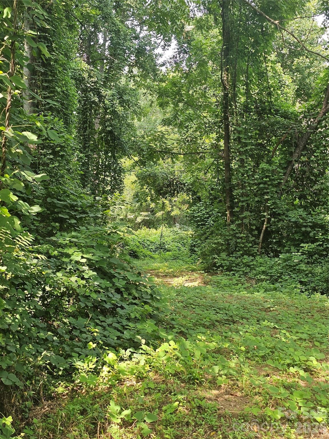 Acreage at 0 US 70 Highway, Connelly Springs, photo 5 of 10