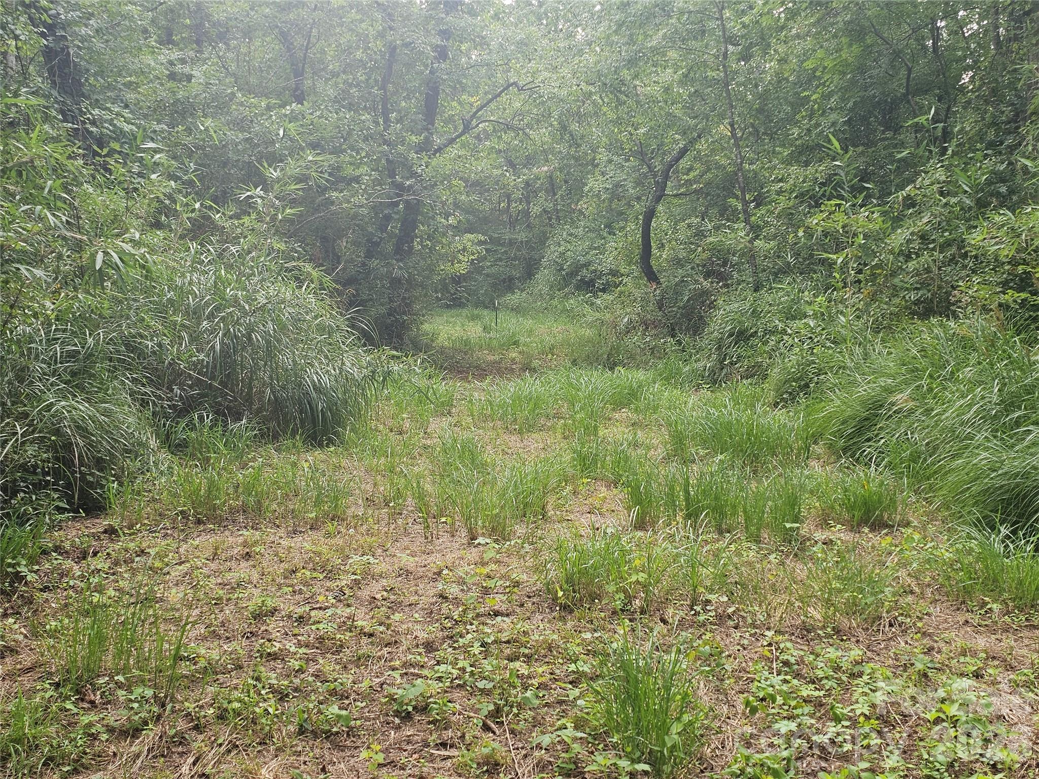 Acreage at 0 US 70 Highway, Connelly Springs, photo 7 of 10