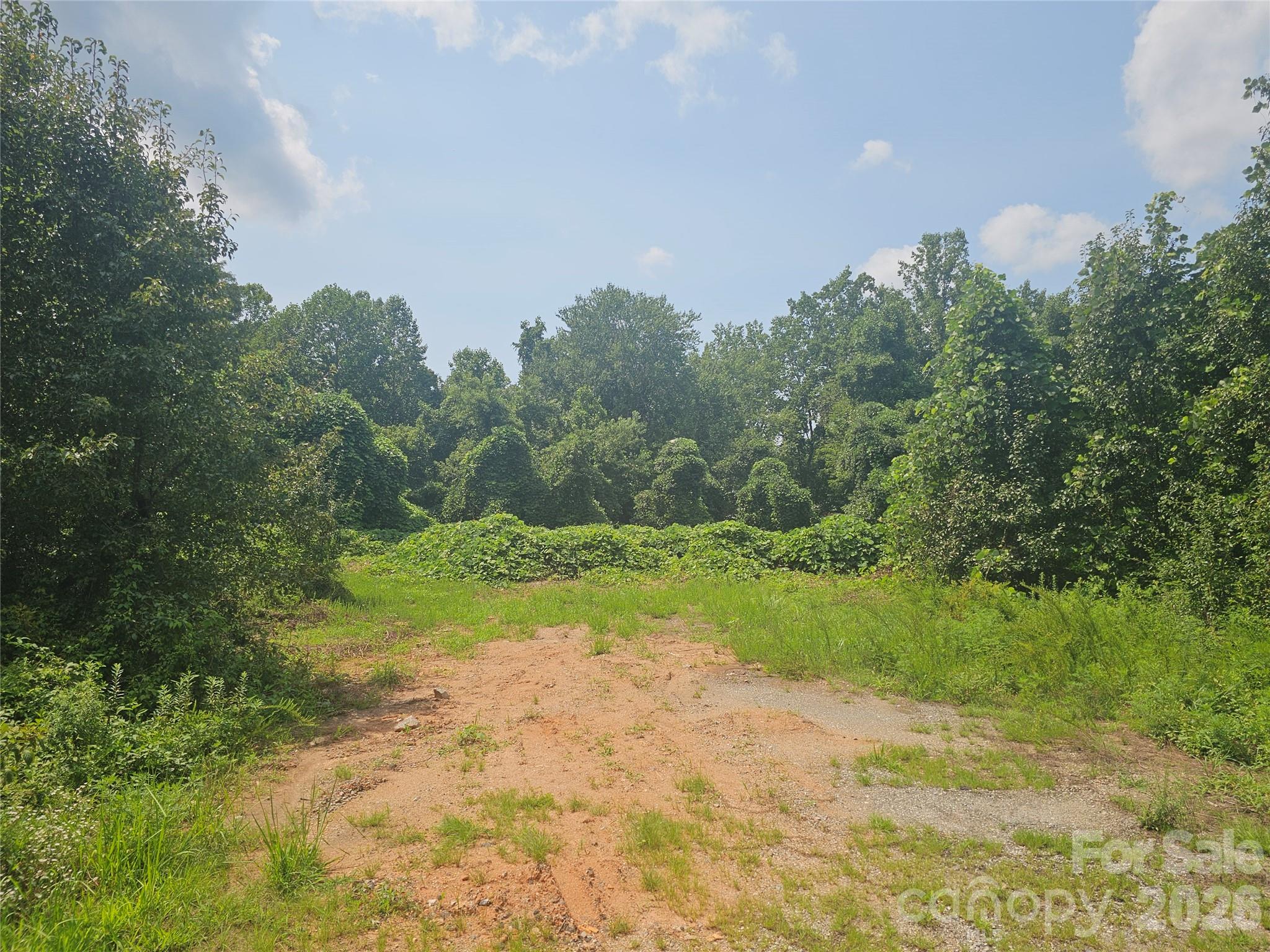 Acreage at 0 US 70 Highway, Connelly Springs, photo 8 of 10