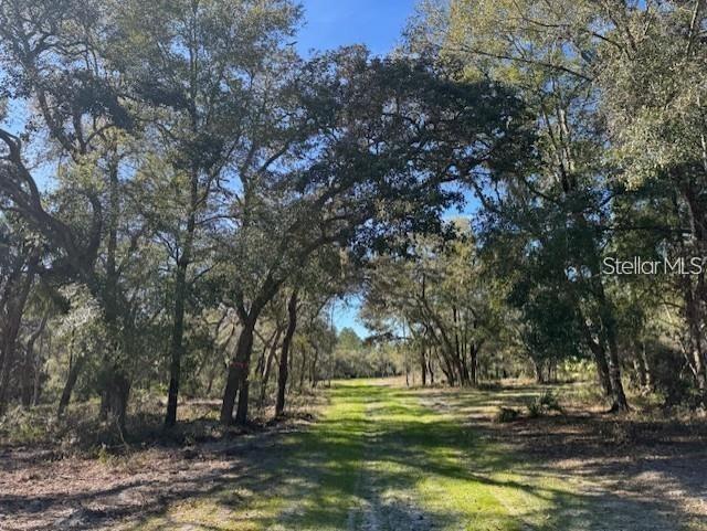 Land at TBD NE 150TH AVE RD #LOT 5, FORT MC COY