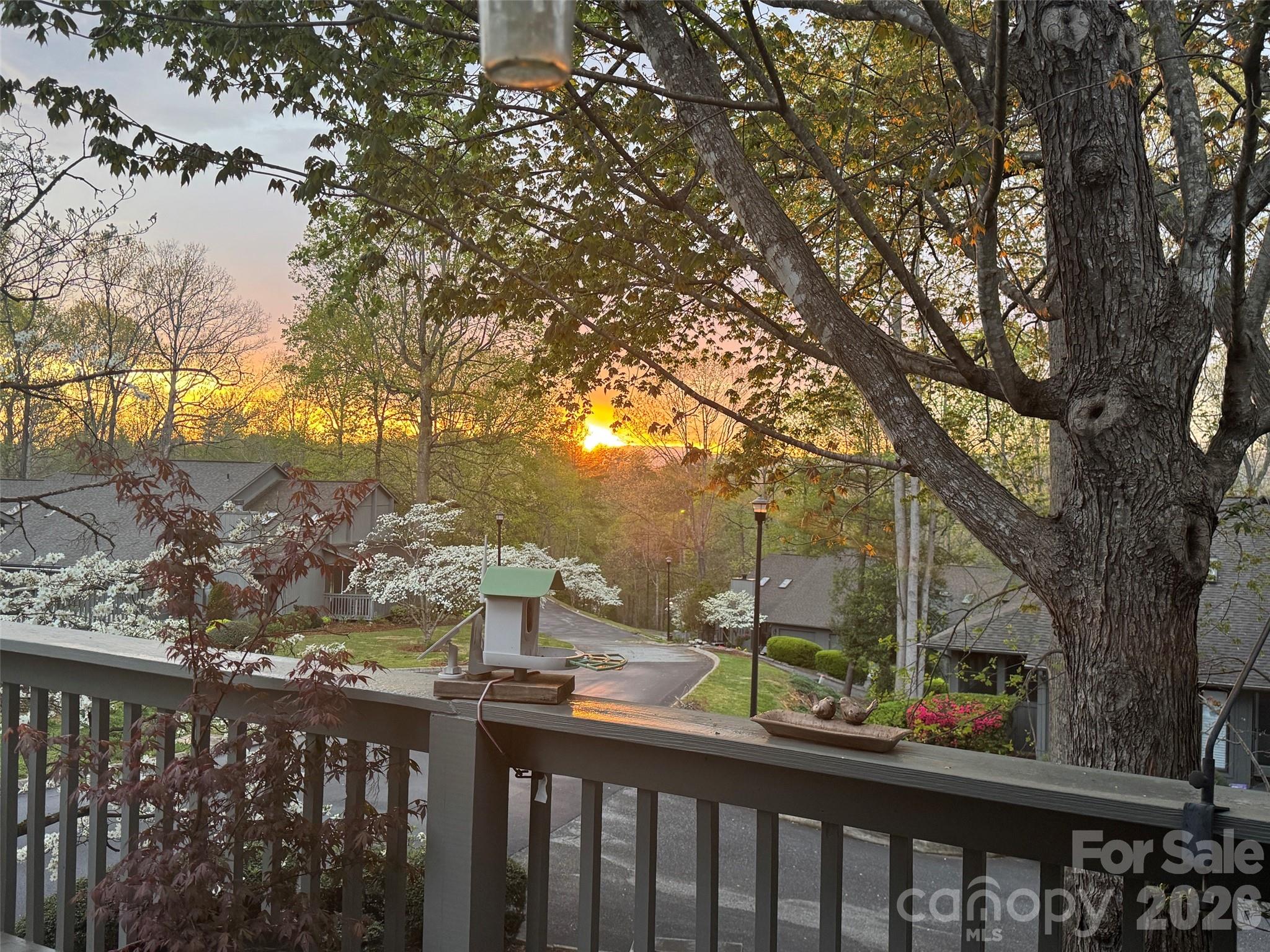 Spring sunset from rear deck - 501 Independence Trail, Morganton