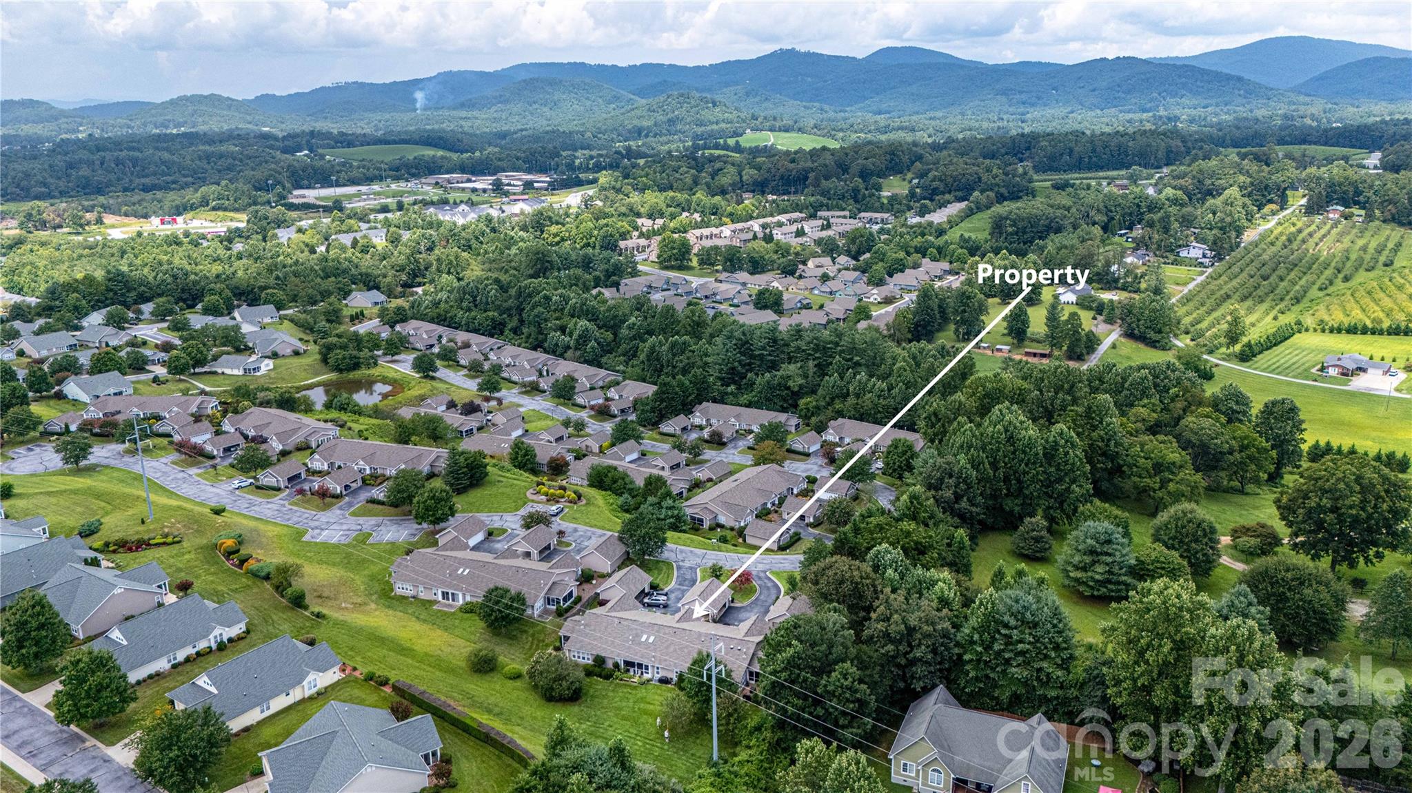 Townhouse at 5303 Wood Duck Way, Hendersonville, photo 4 of 38