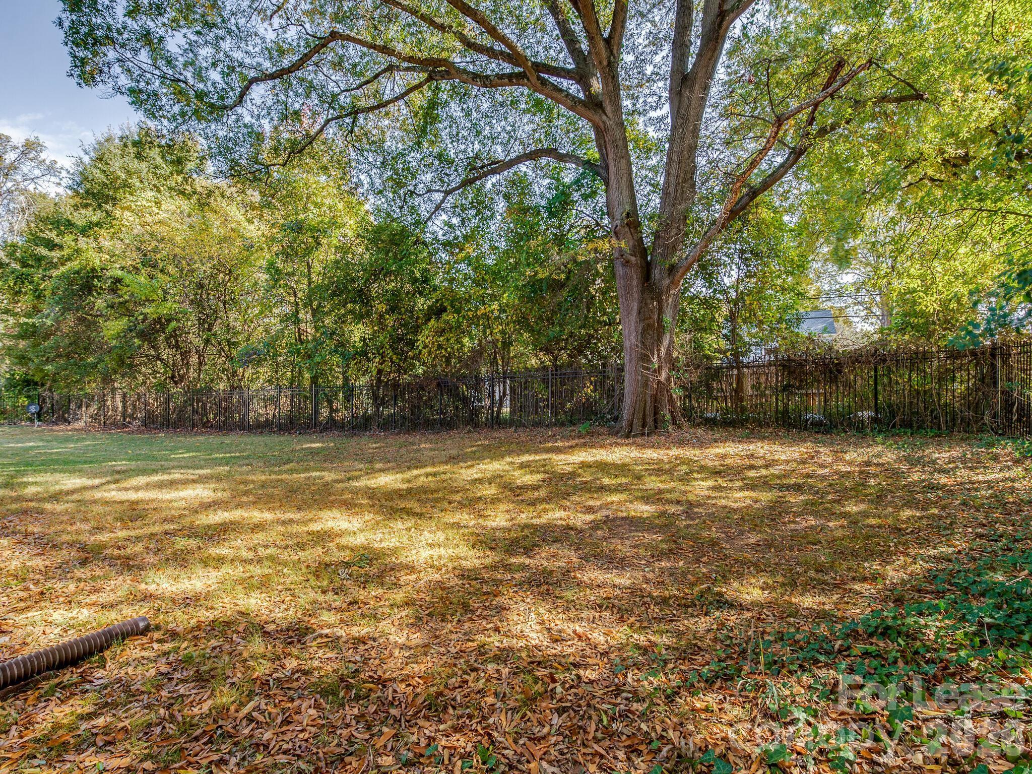 Apartment at 2611 Holton Avenue, Charlotte, photo 11 of 11