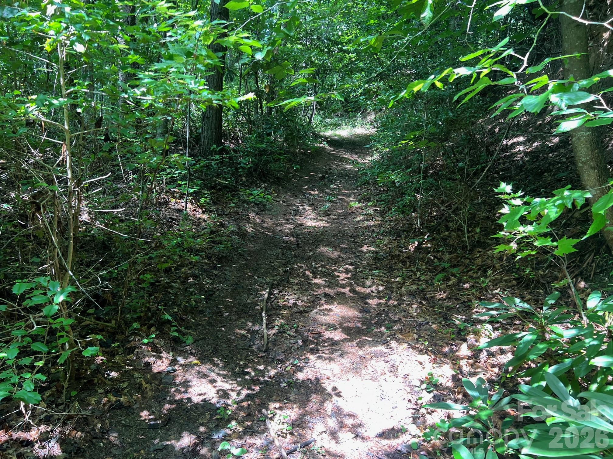 Acreage at 0 Old Johns River Road, Collettsville, photo 2 of 13