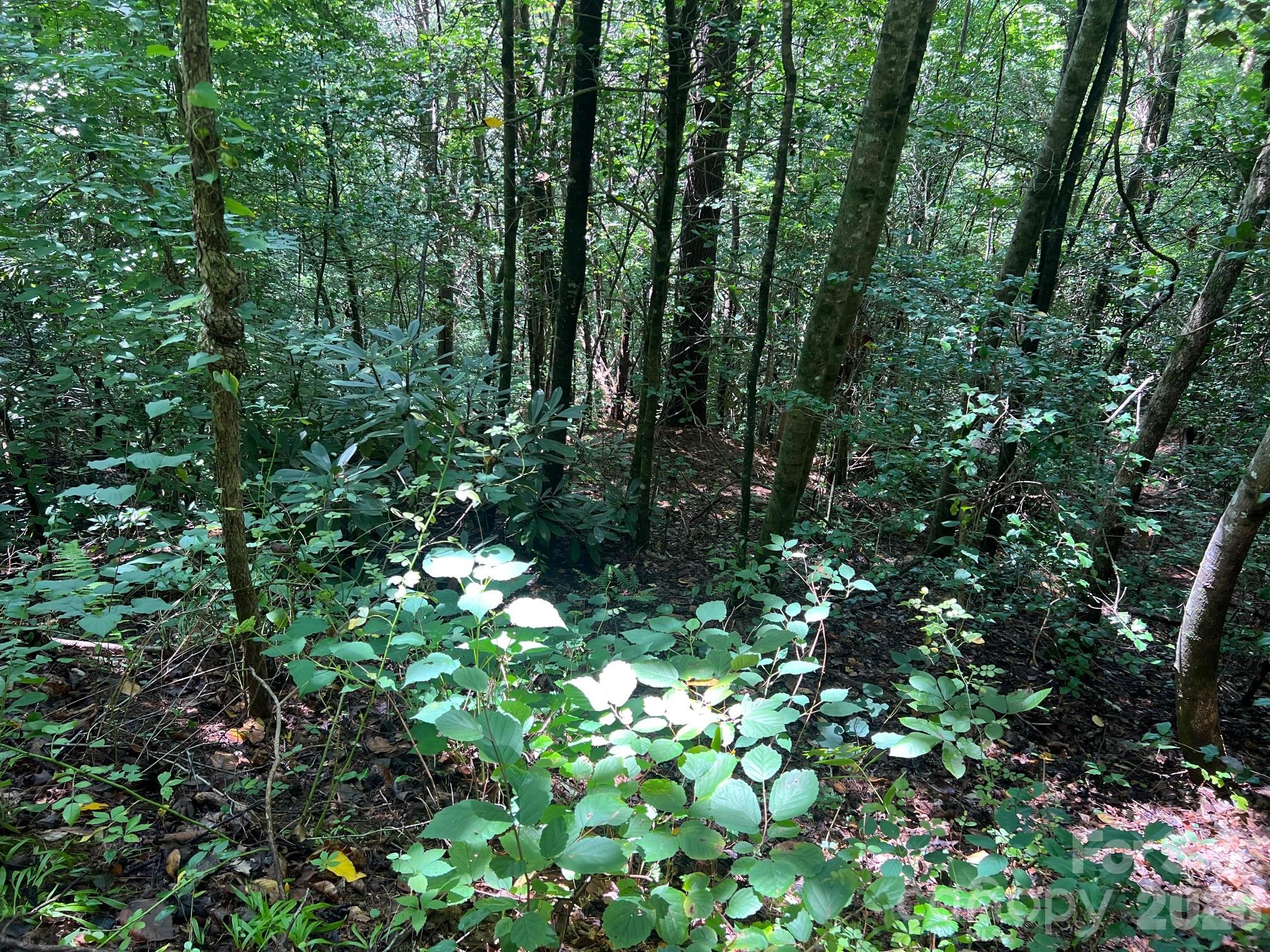 Acreage at 0 Old Johns River Road, Collettsville, photo 3 of 13