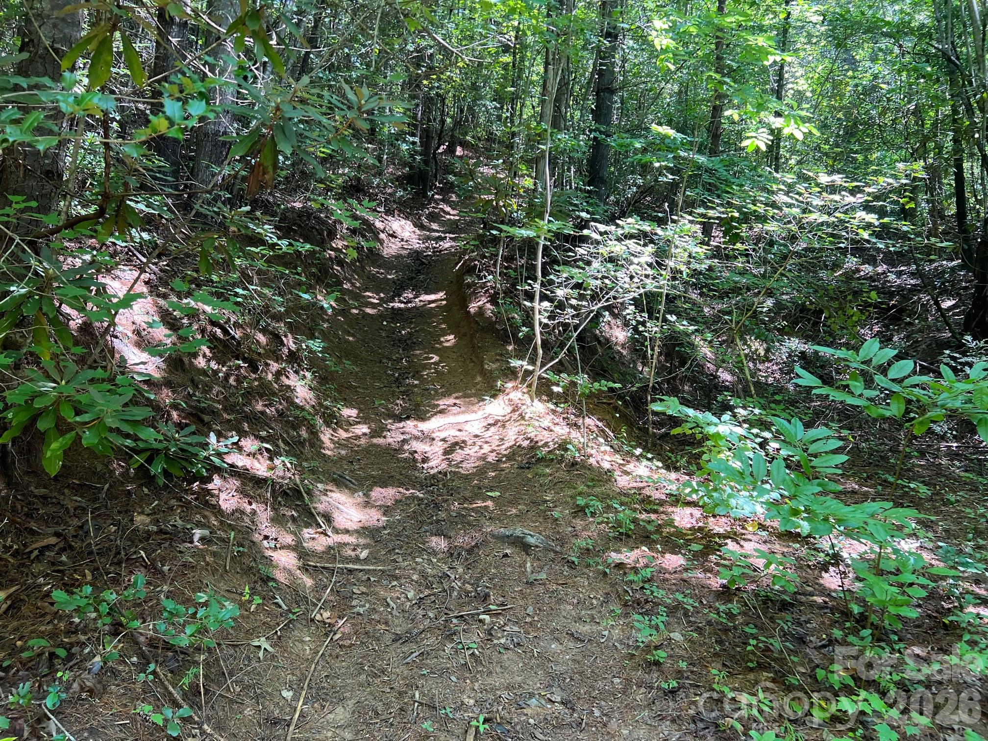 Acreage at 0 Old Johns River Road, Collettsville, photo 4 of 13