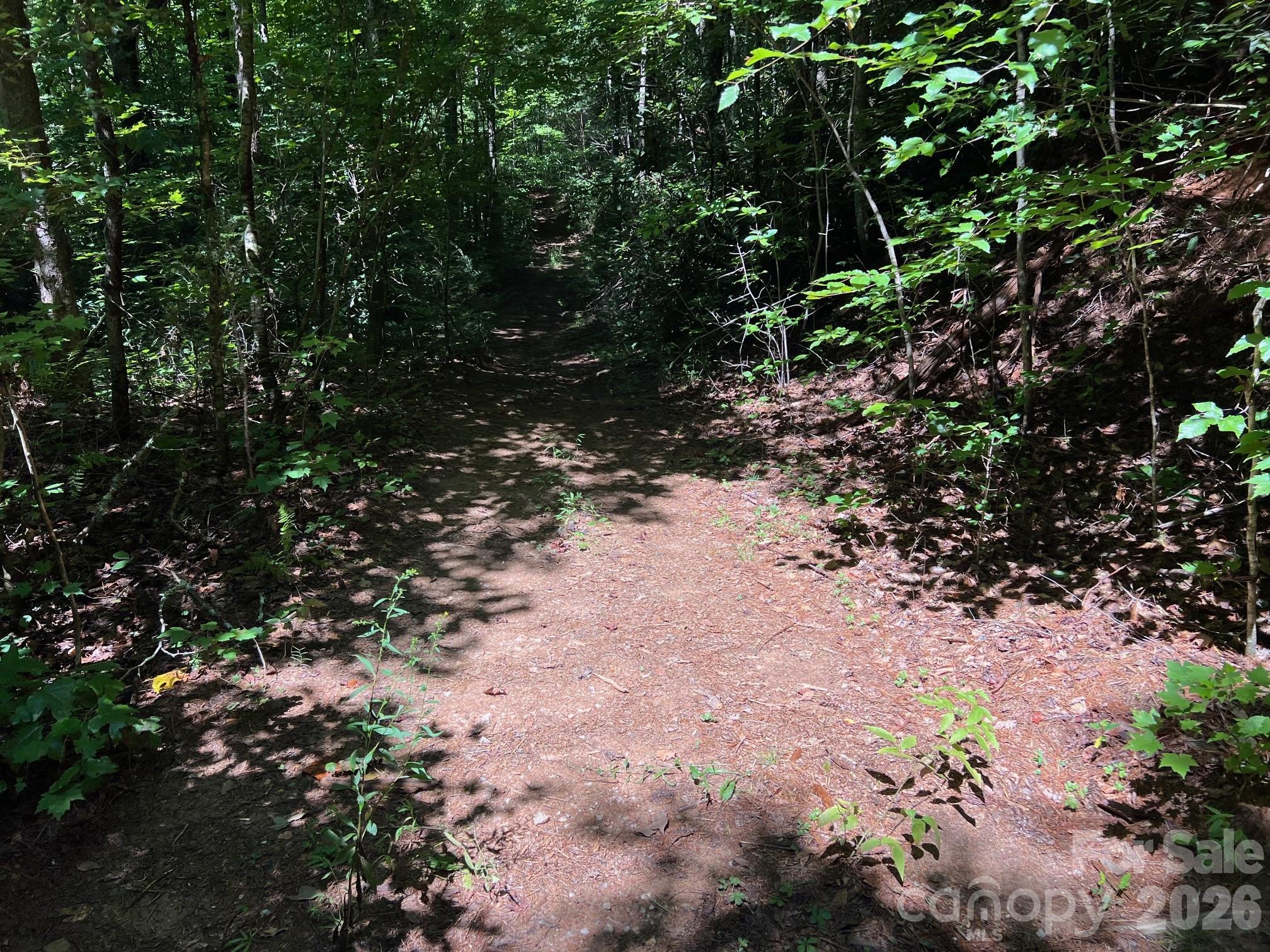 Acreage at 0 Old Johns River Road, Collettsville, photo 5 of 13