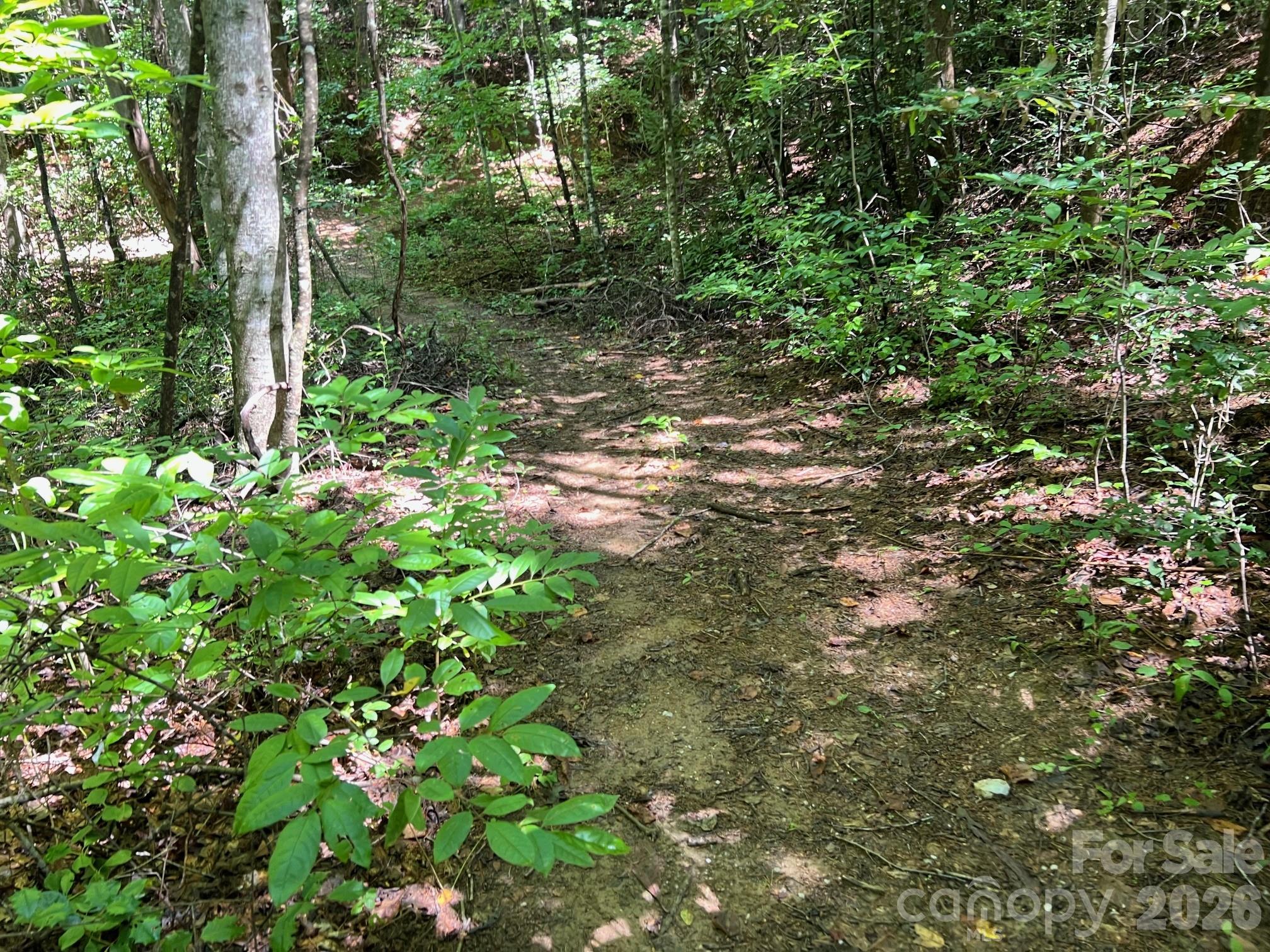 Acreage at 0 Old Johns River Road, Collettsville, photo 6 of 13