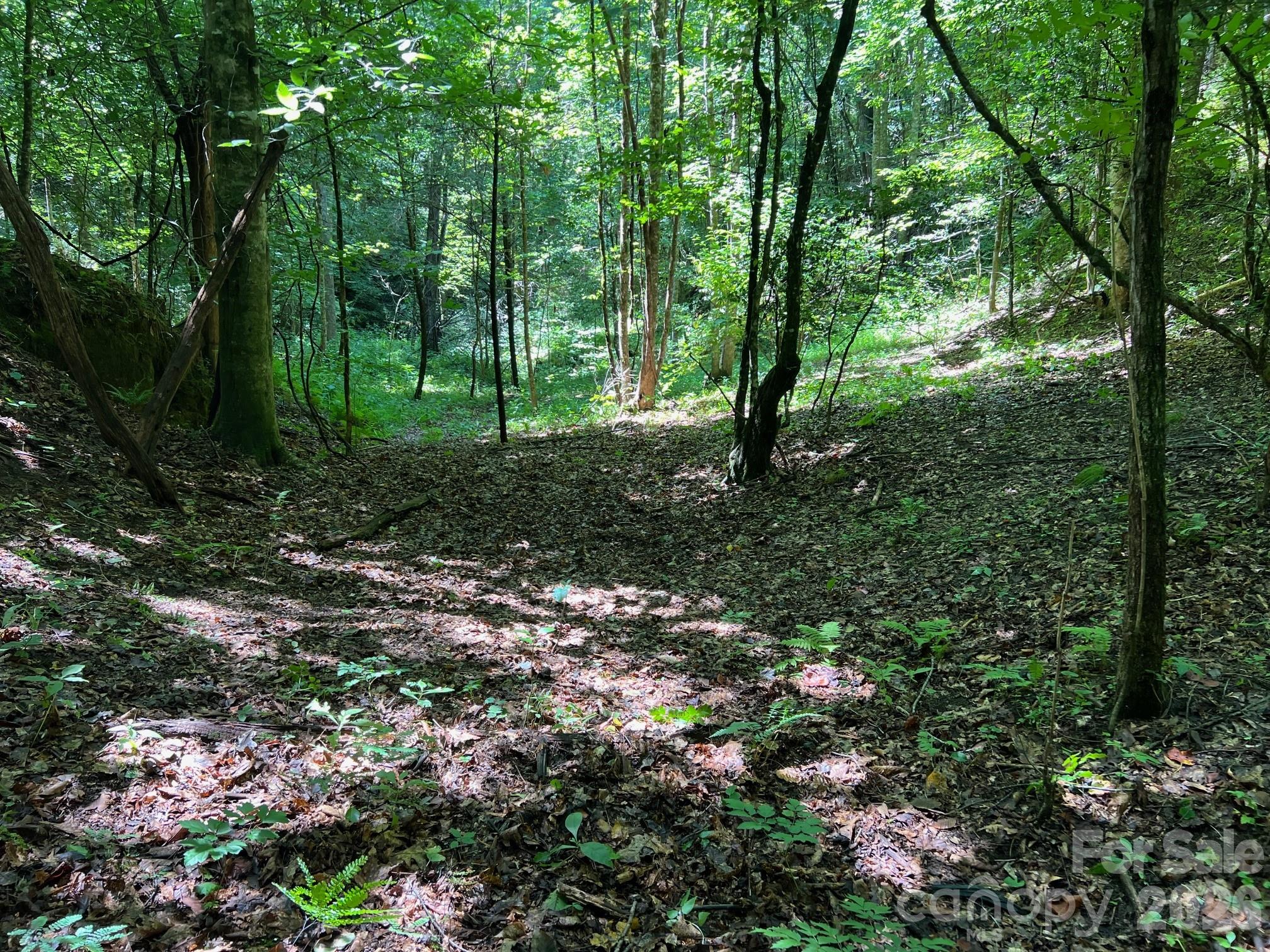 Acreage at 0 Old Johns River Road, Collettsville, photo 8 of 13