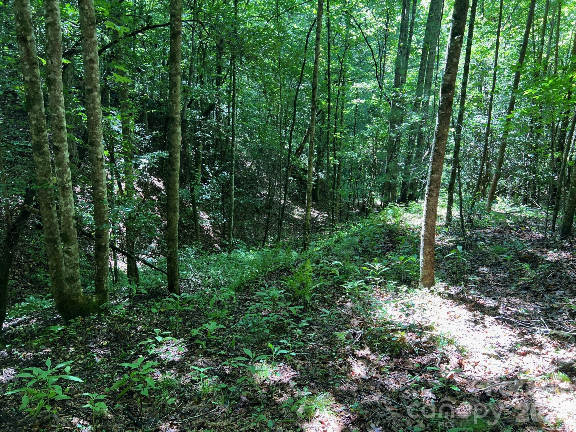 Acreage at 0 Old Johns River Road, Collettsville, photo 9 of 13