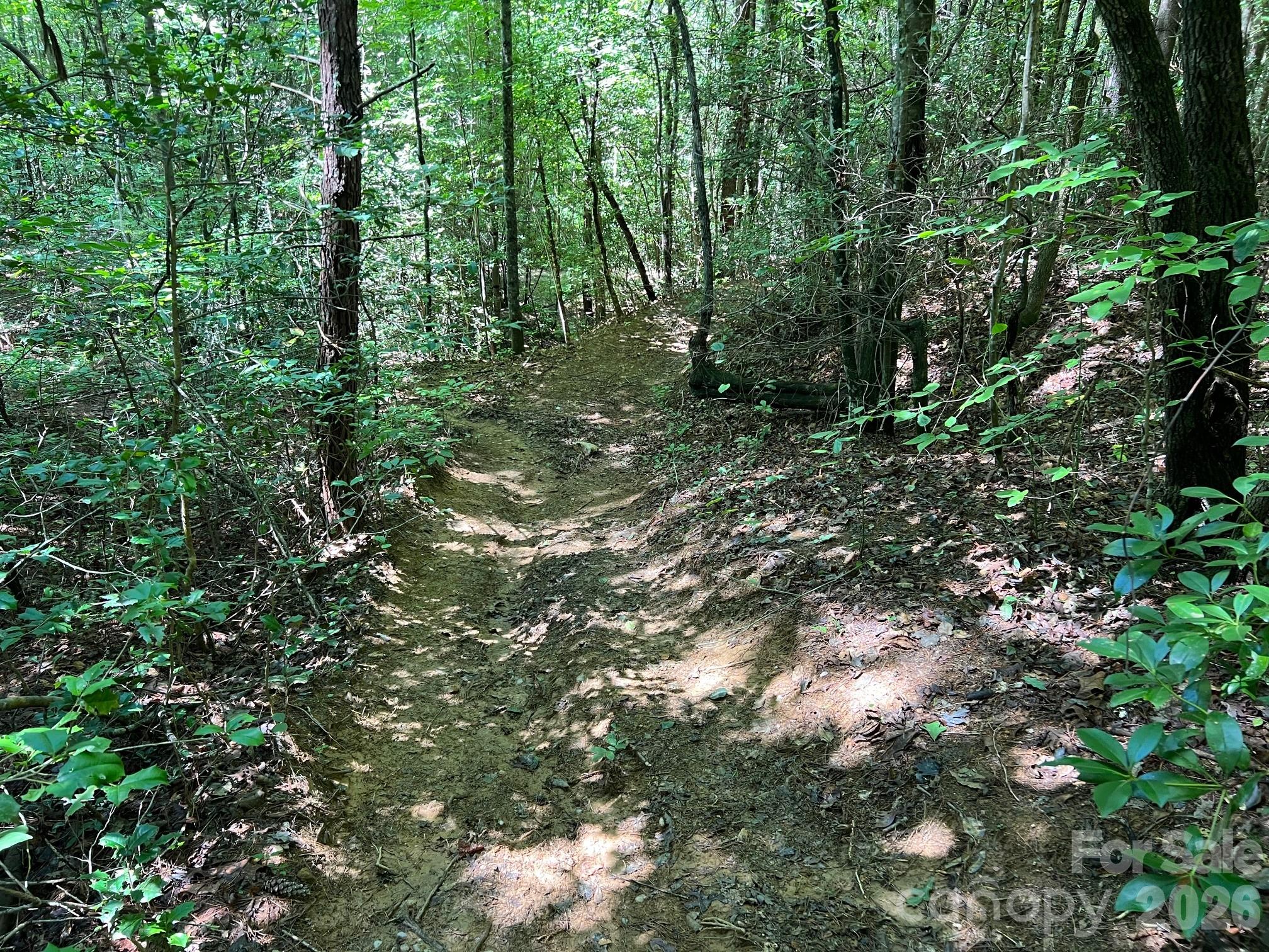 Acreage at 0 Old Johns River Road, Collettsville, photo 10 of 13