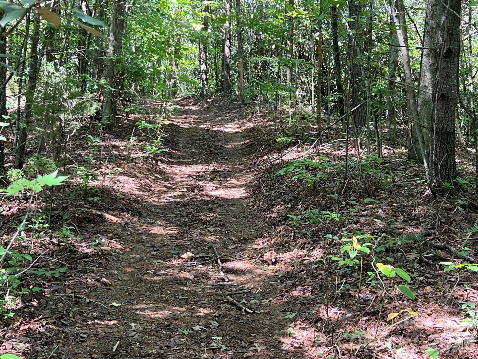 Acreage at 0 Old Johns River Road, Collettsville, photo 11 of 13