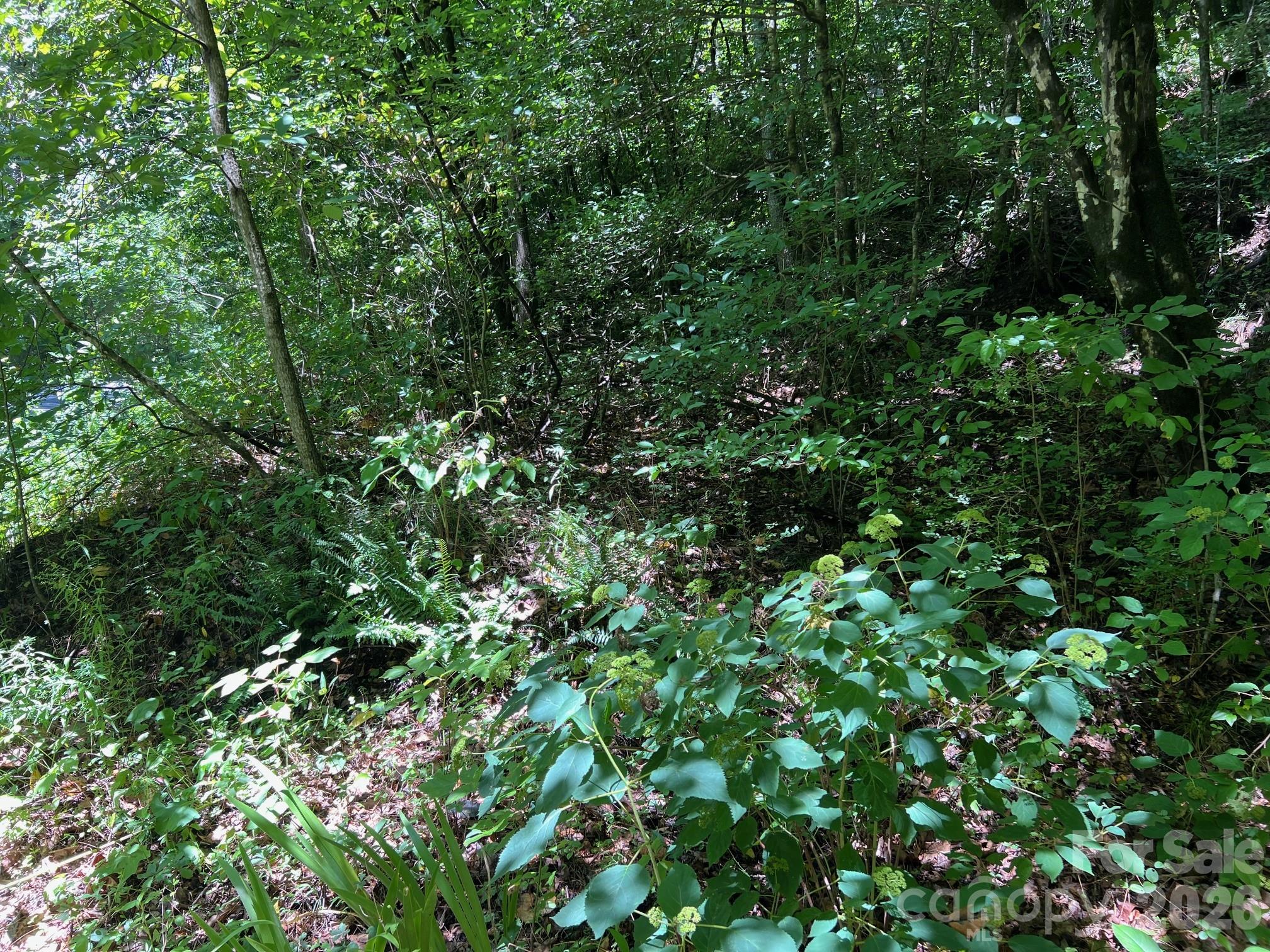 Acreage at 0 Old Johns River Road, Collettsville, photo 13 of 13