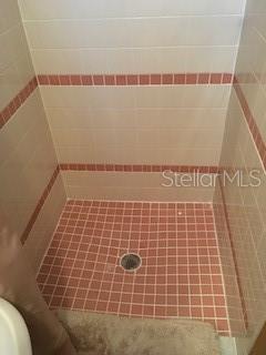 Walk-In Shower in Primmary Bath - 6155 ILLINOIS AVE, NEW PORT RICHEY