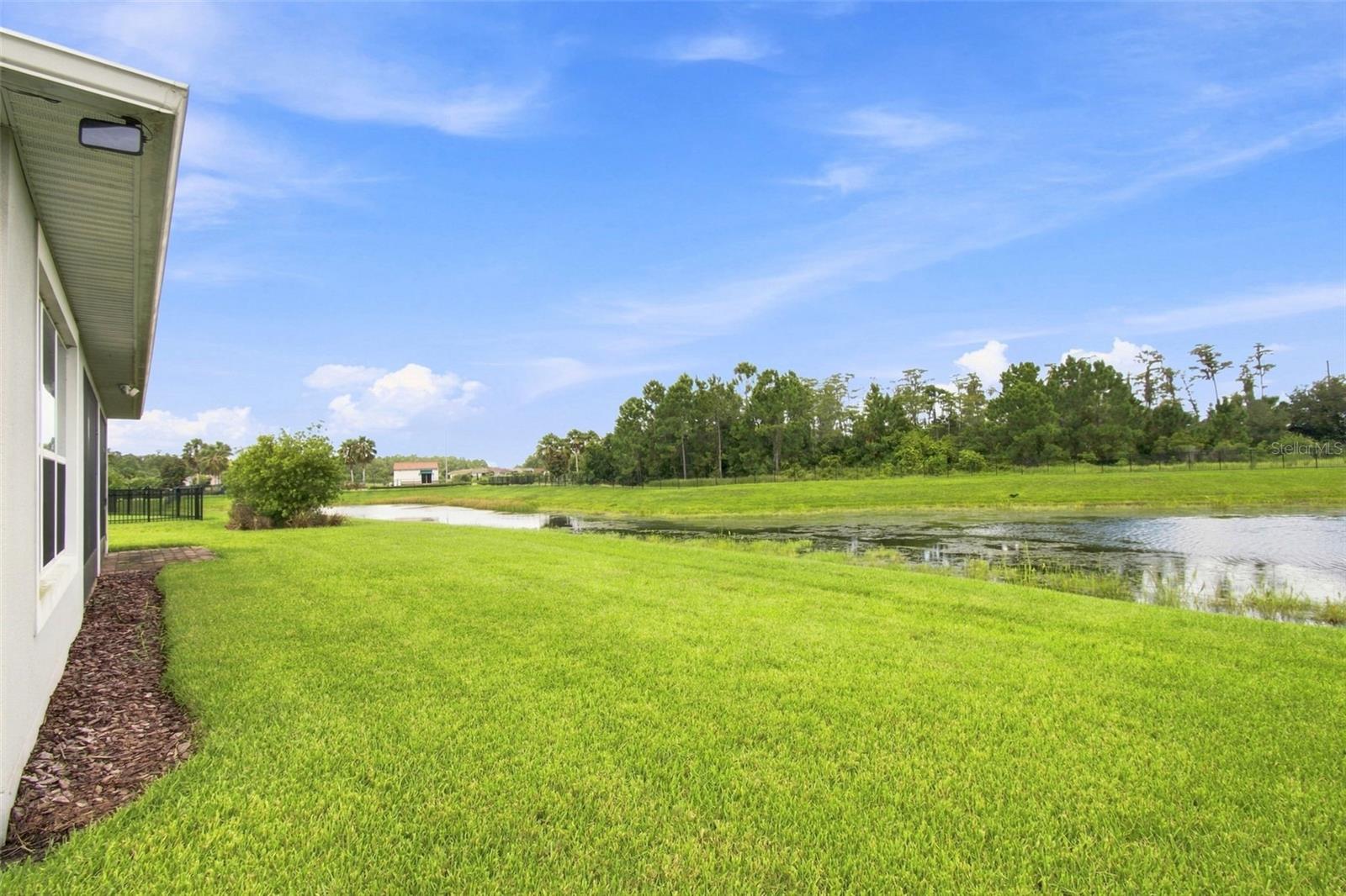 Large back yard - 163 OLYMPUS WAY, KISSIMMEE