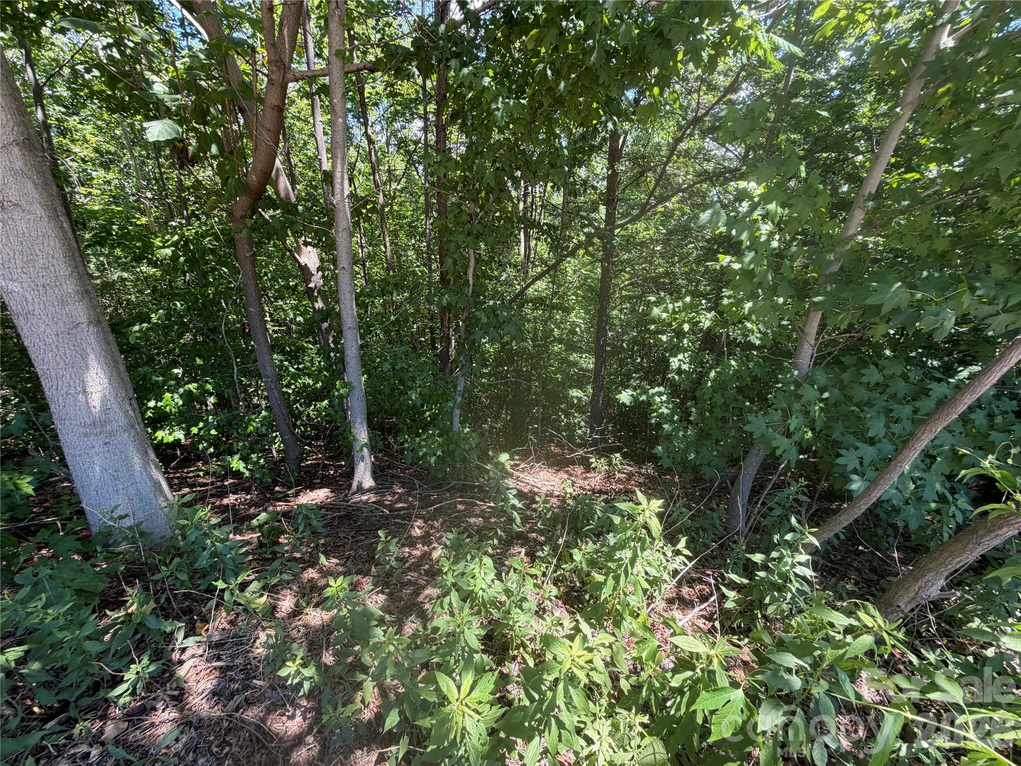 Lot at 00 Holland Drive, Columbus, photo 8 of 42