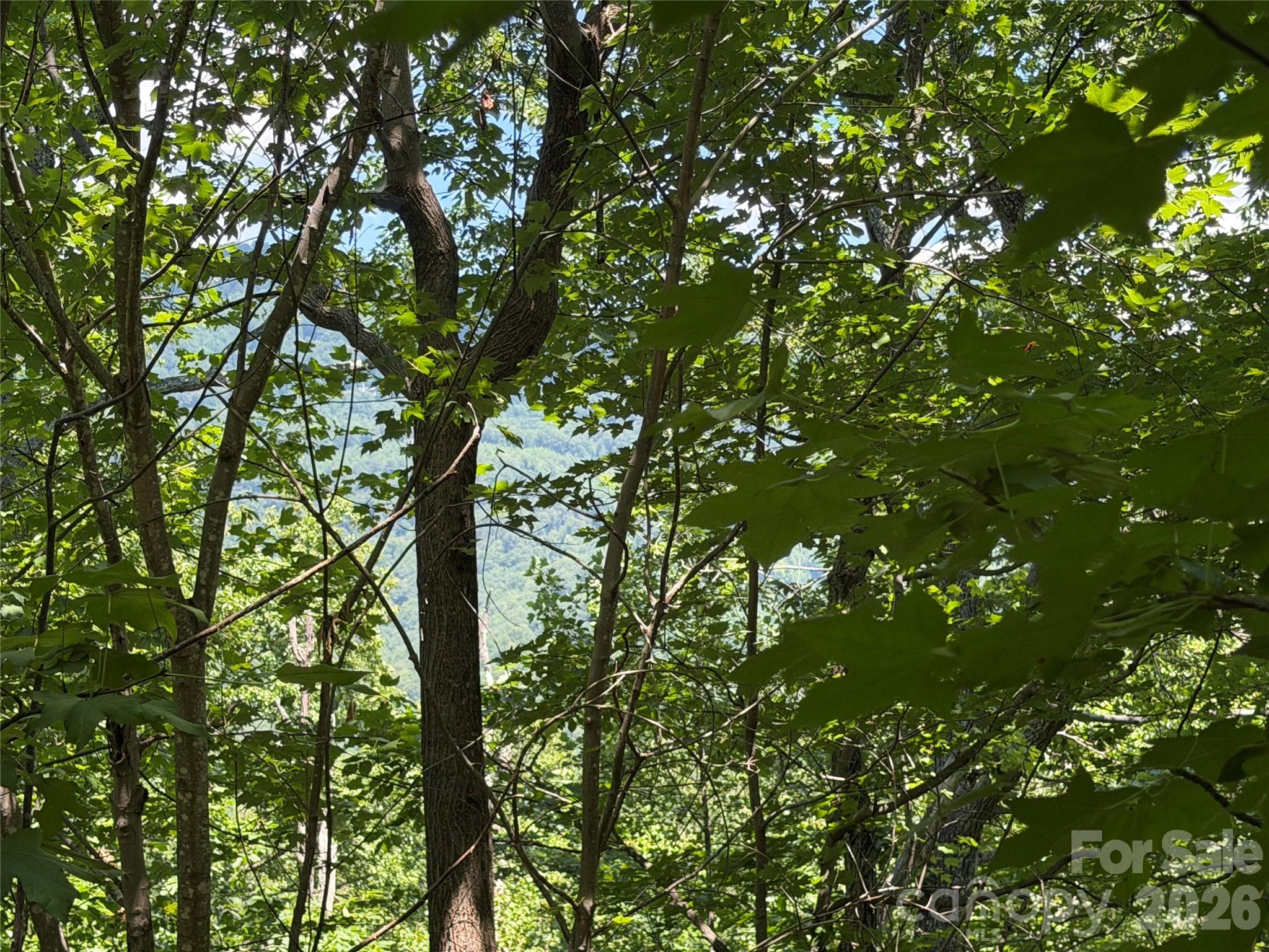 Glimpse of the mountain range through the trees. - 00 Holland Drive, Columbus