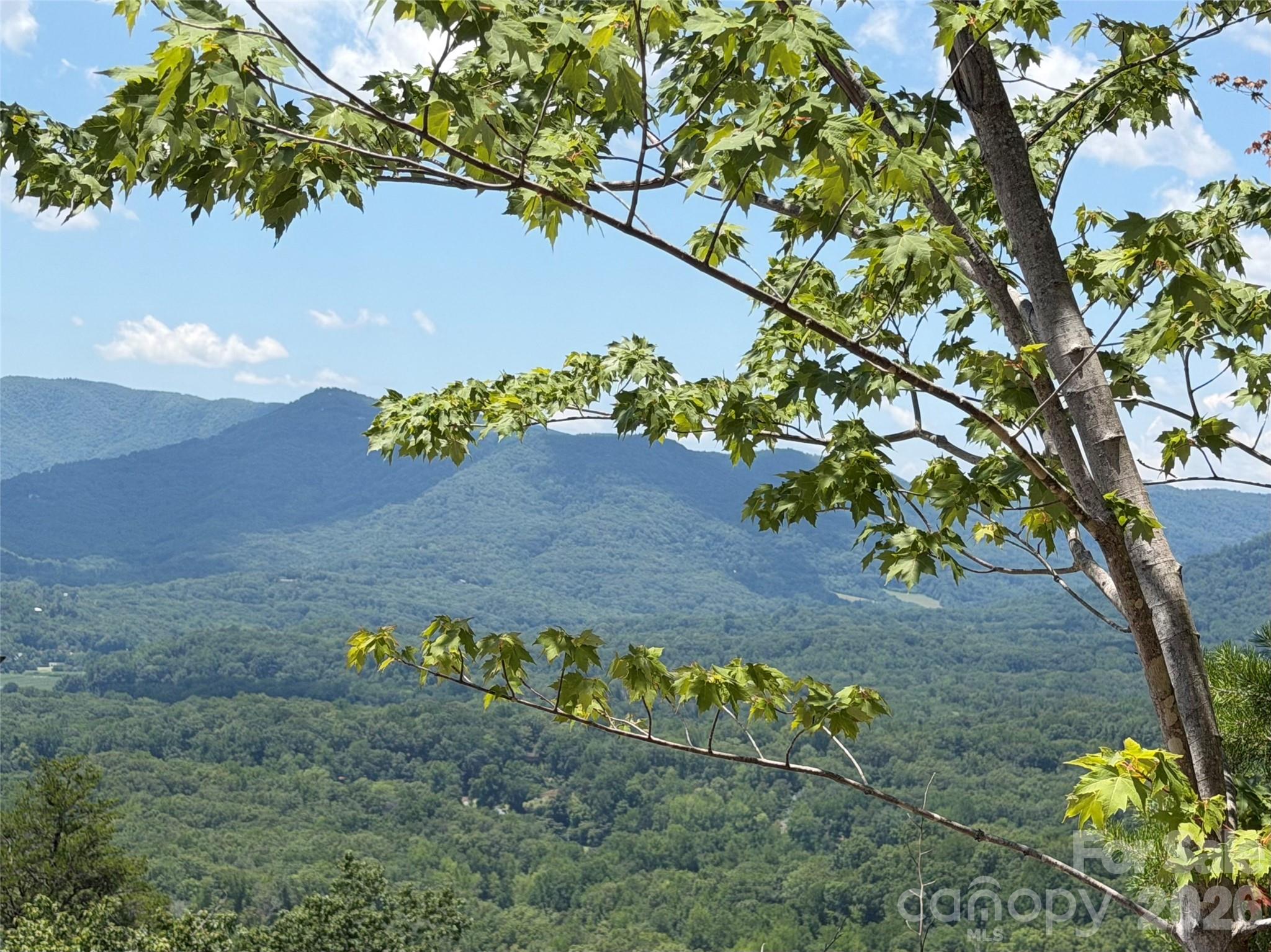 View from different homesite on same side of Holland Drive - 00 Holland Drive, Columbus
