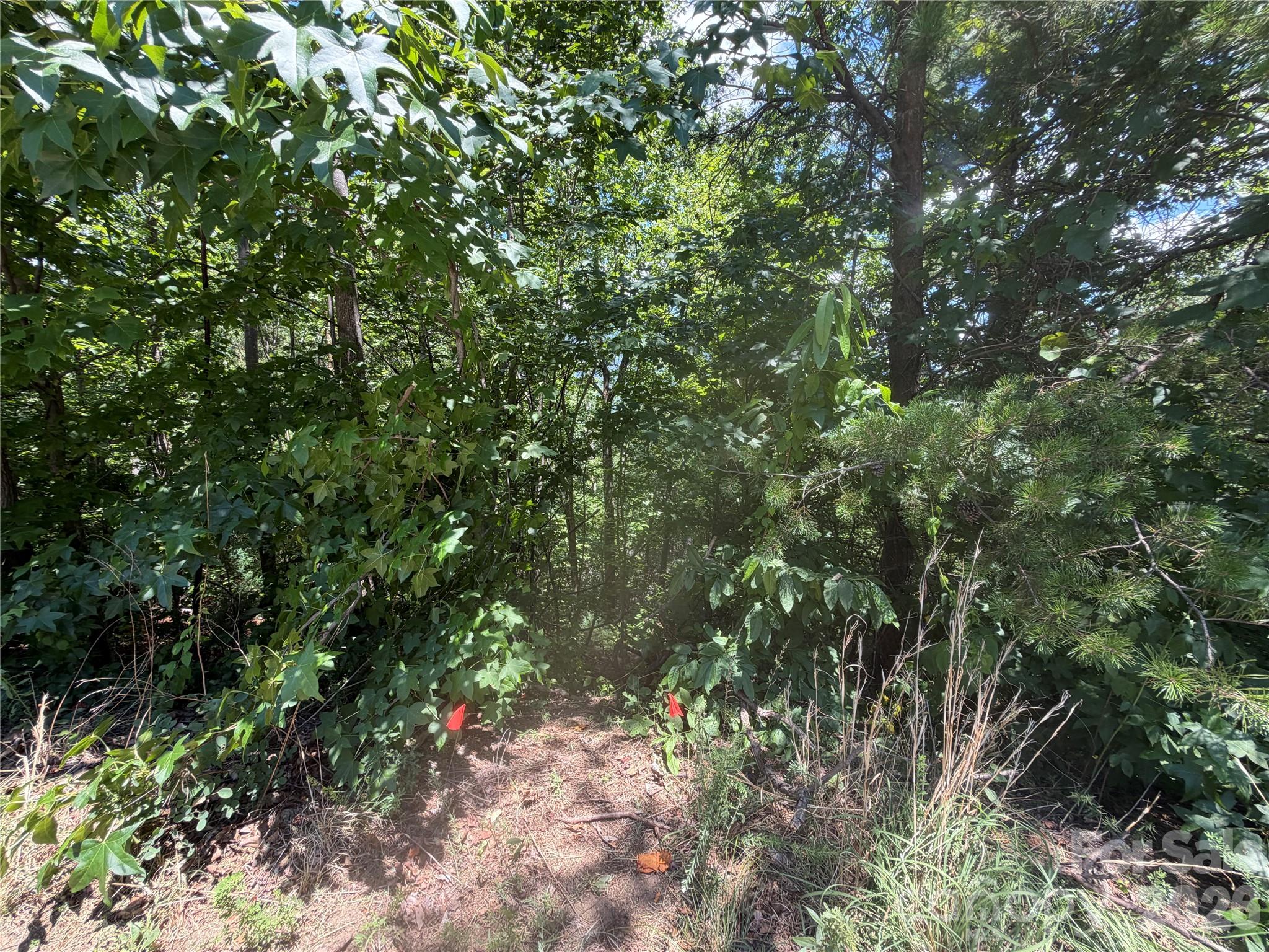 Lot at 00 Holland Drive, Columbus, photo 11 of 42