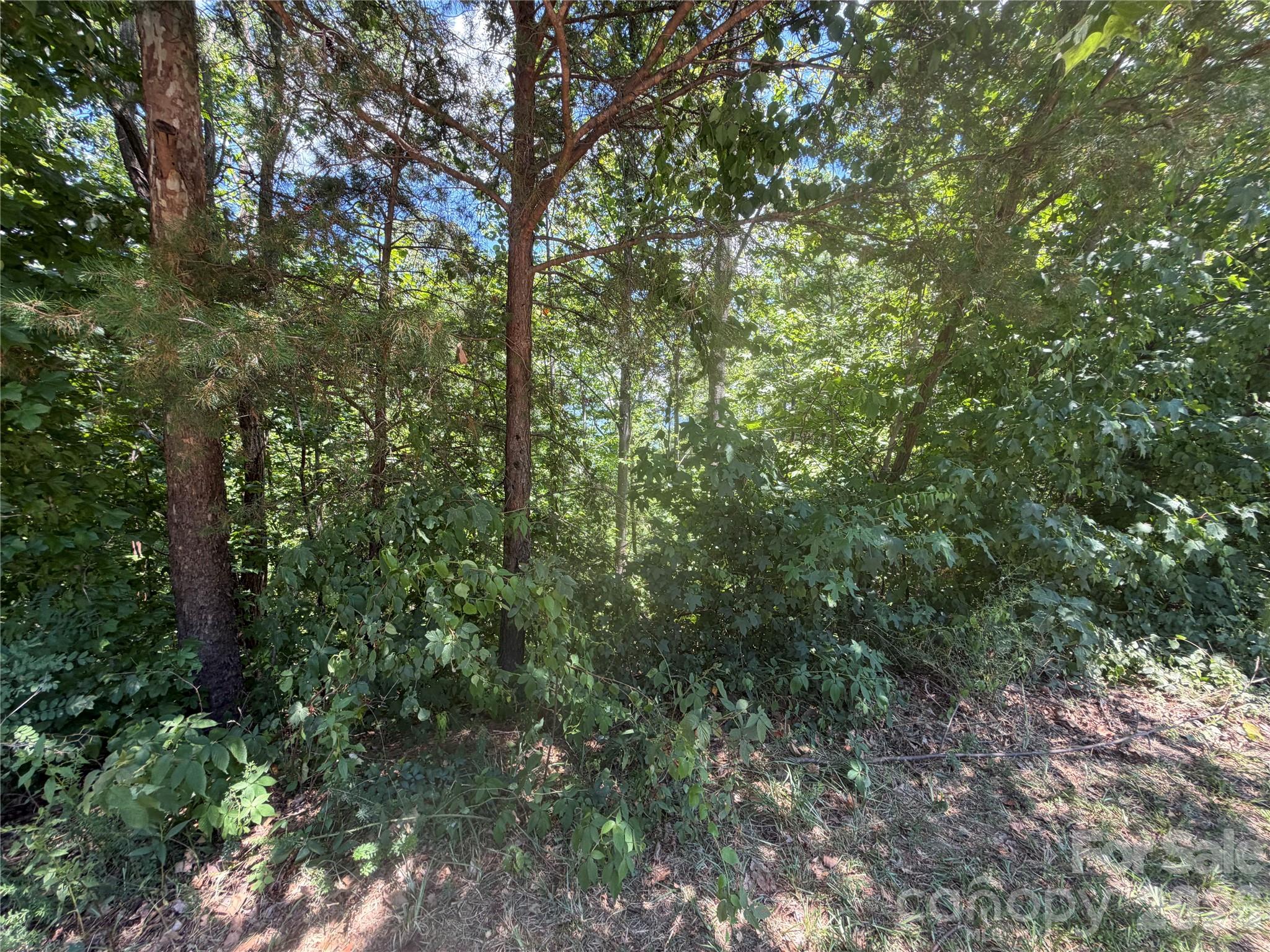 Private cul-de-sac lot. - 00 Holland Drive, Columbus