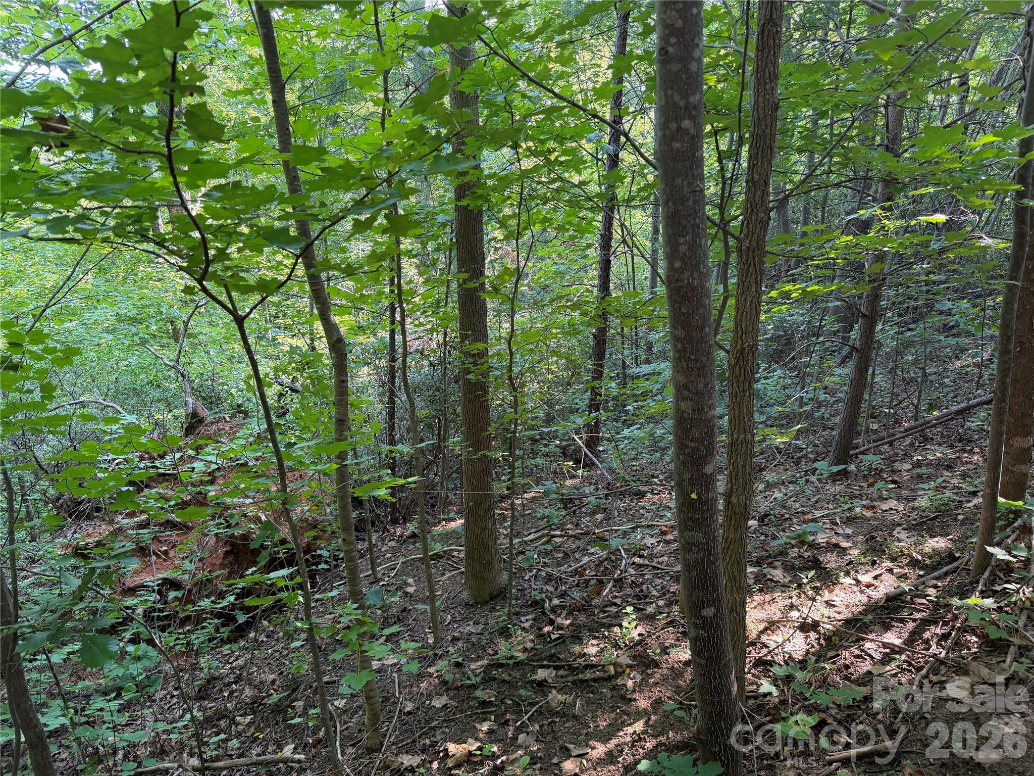 Potential Homesite - 00 Holland Drive, Columbus