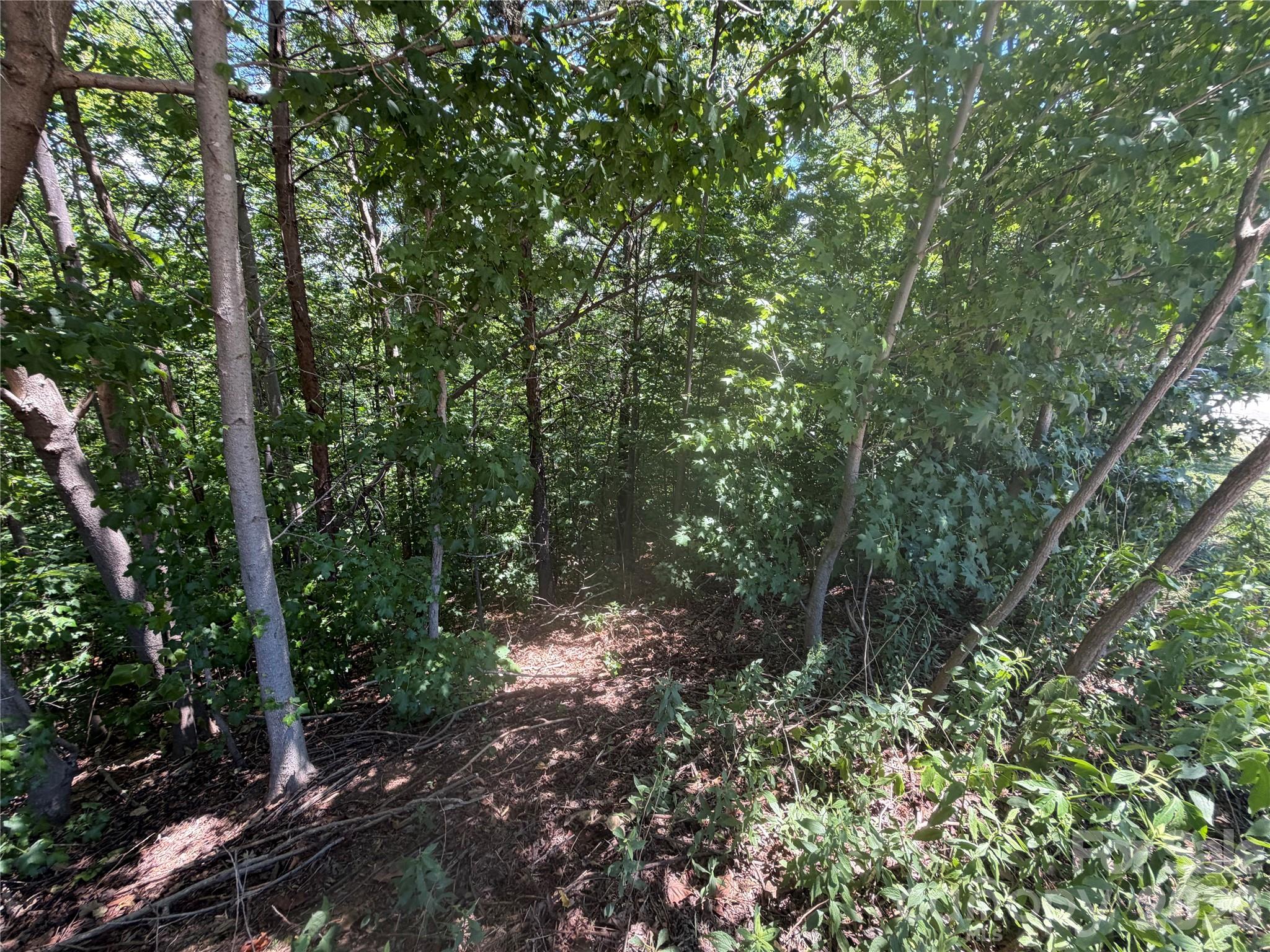 Lot at 00 Holland Drive, Columbus, photo 14 of 42