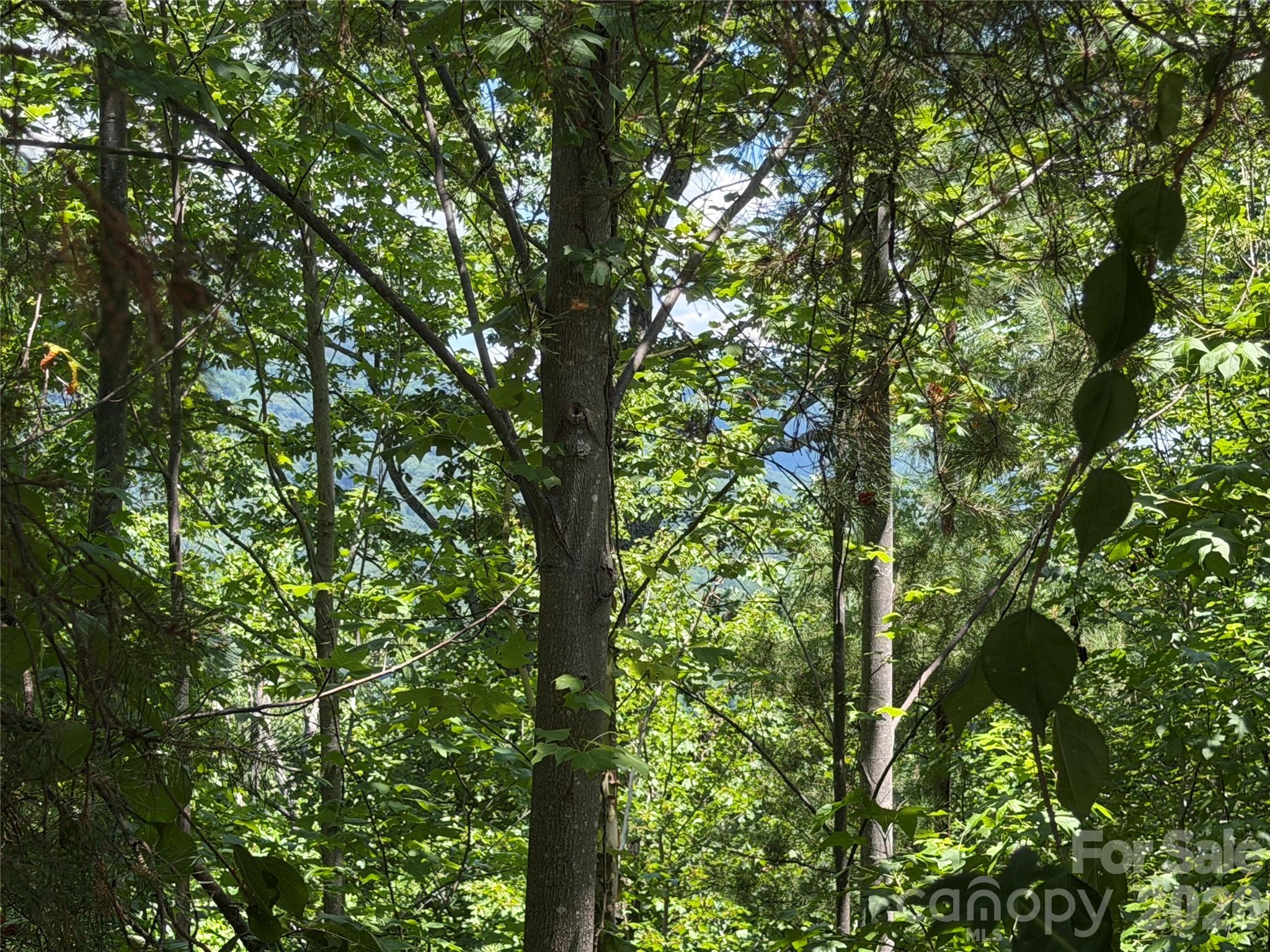 Lot at 00 Holland Drive, Columbus, photo 16 of 42
